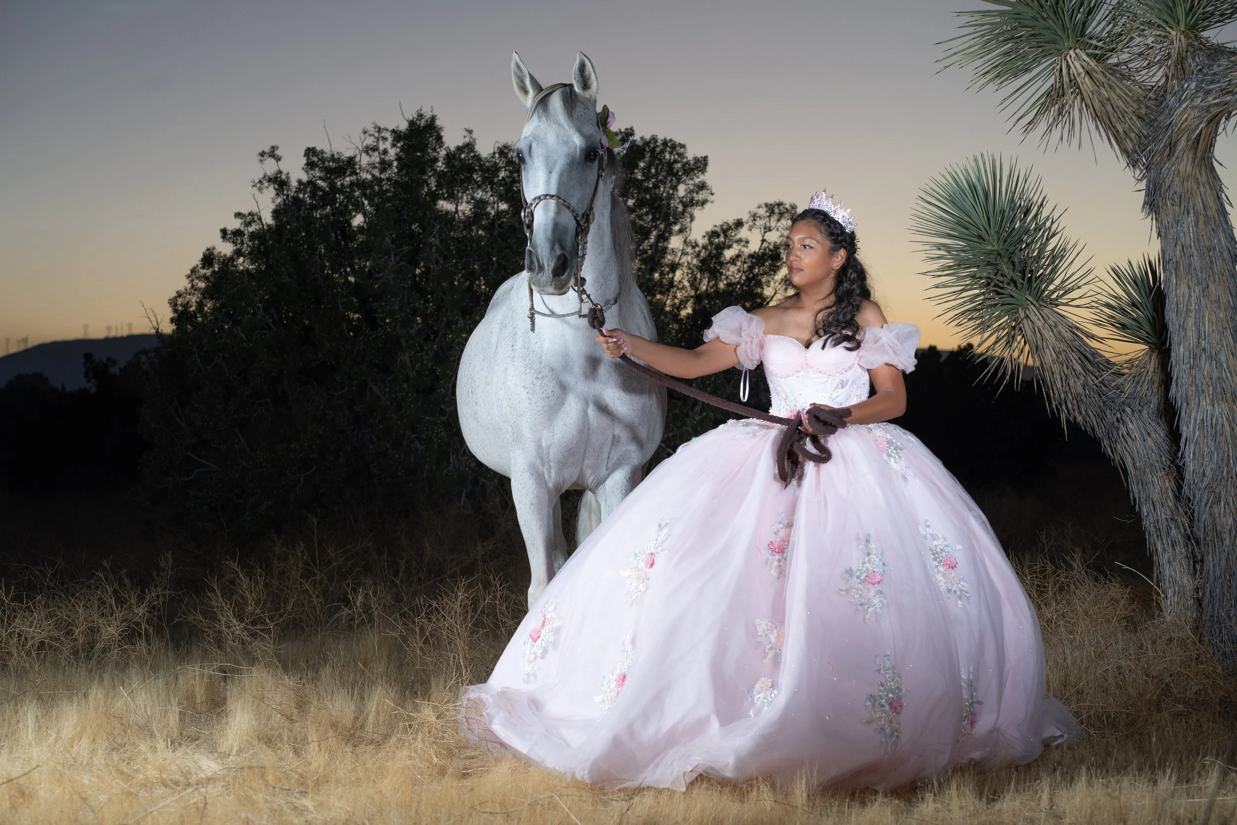 Juan-Quince-38.jpg