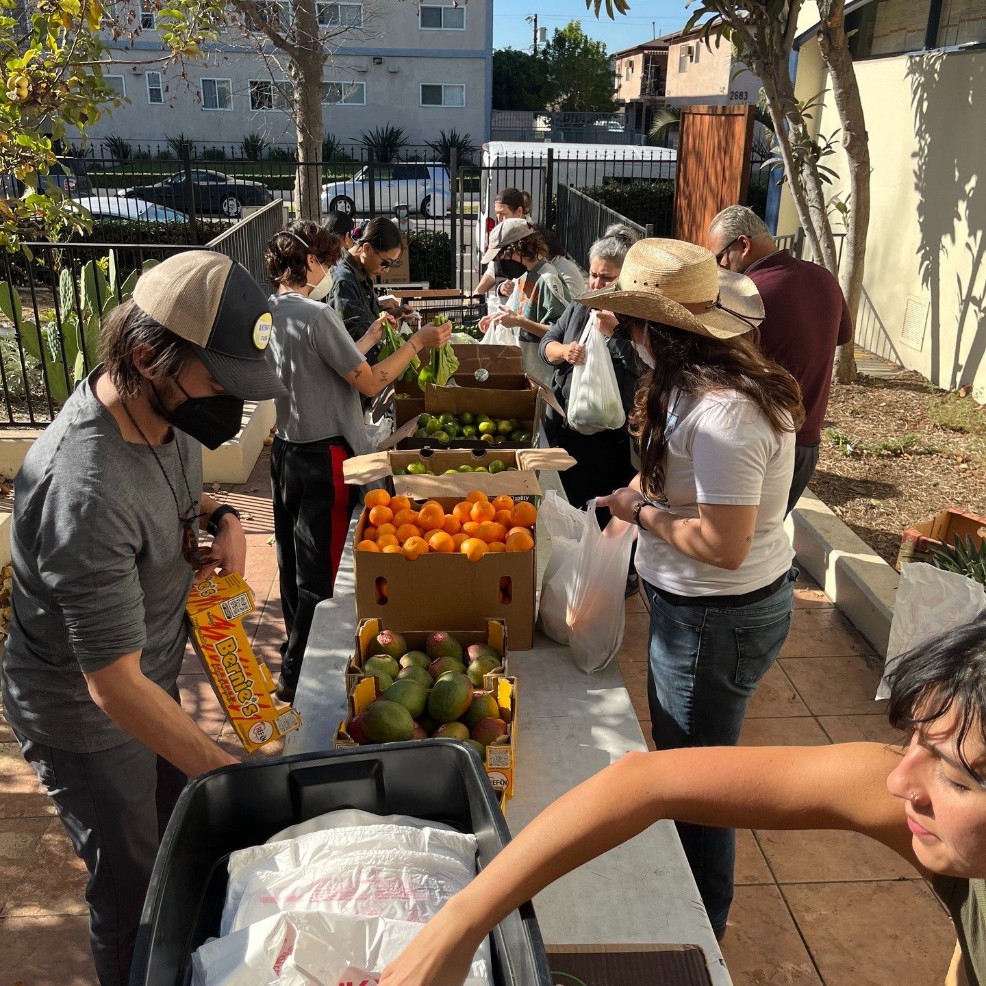 Hey! We are looking for some volunteers to help out with our free distribution on Thursday from 12:30-3:30. The busiest period is 1-2:30 so if you can't make it the whole time let us know. 

We are going to try something new and have a smaller group 