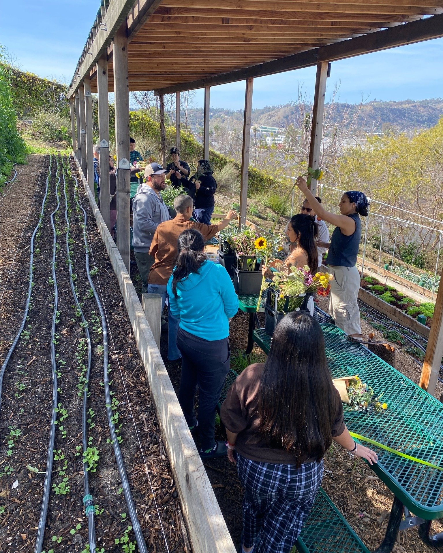 For Valentine's day, we had an amazing bouquet-making workshop with the students we work with and during Saturday farmstand. We had a great time creating beautiful floral arrangements and learning new techniques. Thanks to everyone who participated a