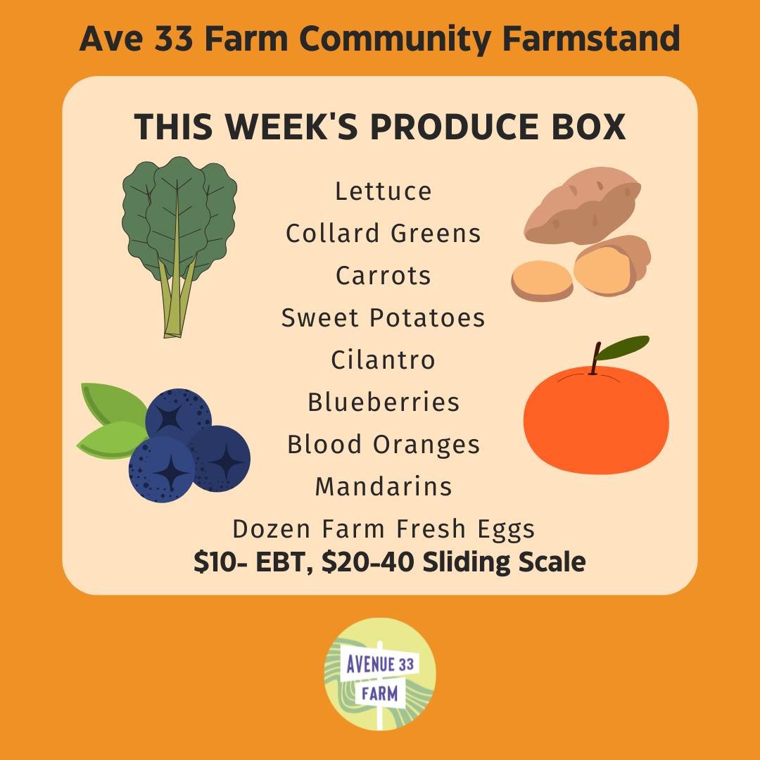 This week's box includes berries, two types of citrus, leafy greens, and more.

Reserve through the link in our bio or on our site at ave33farm.com. Hope to see you Saturday!