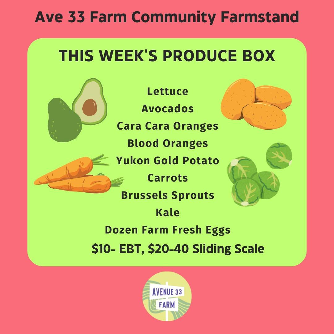 This week's box includes two types of citrus, two types of great green vegetables, avocados, and more.

Reserve through the link in our bio or on our site at ave33farm.com. Hope to see you Saturday!