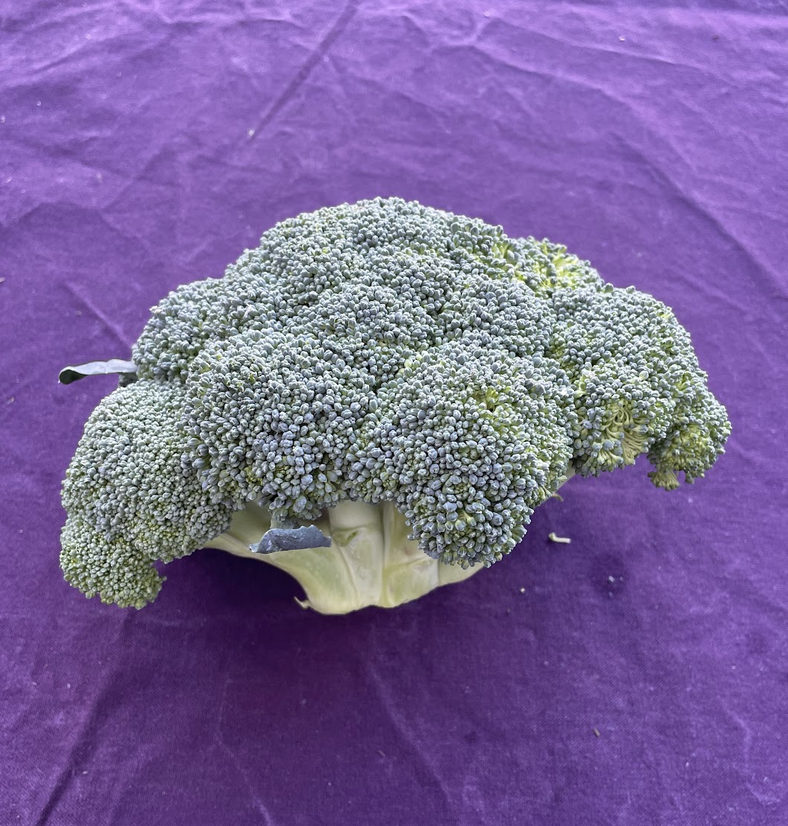 Broccoli