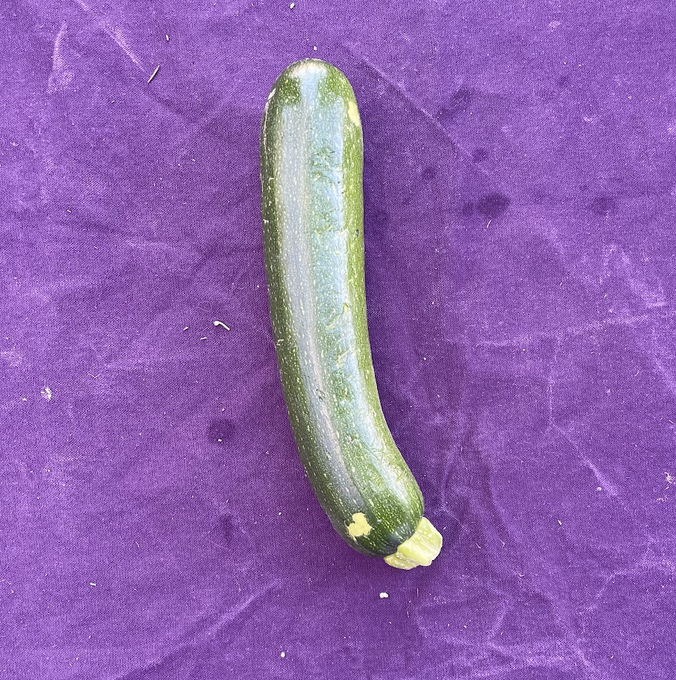 Zucchini