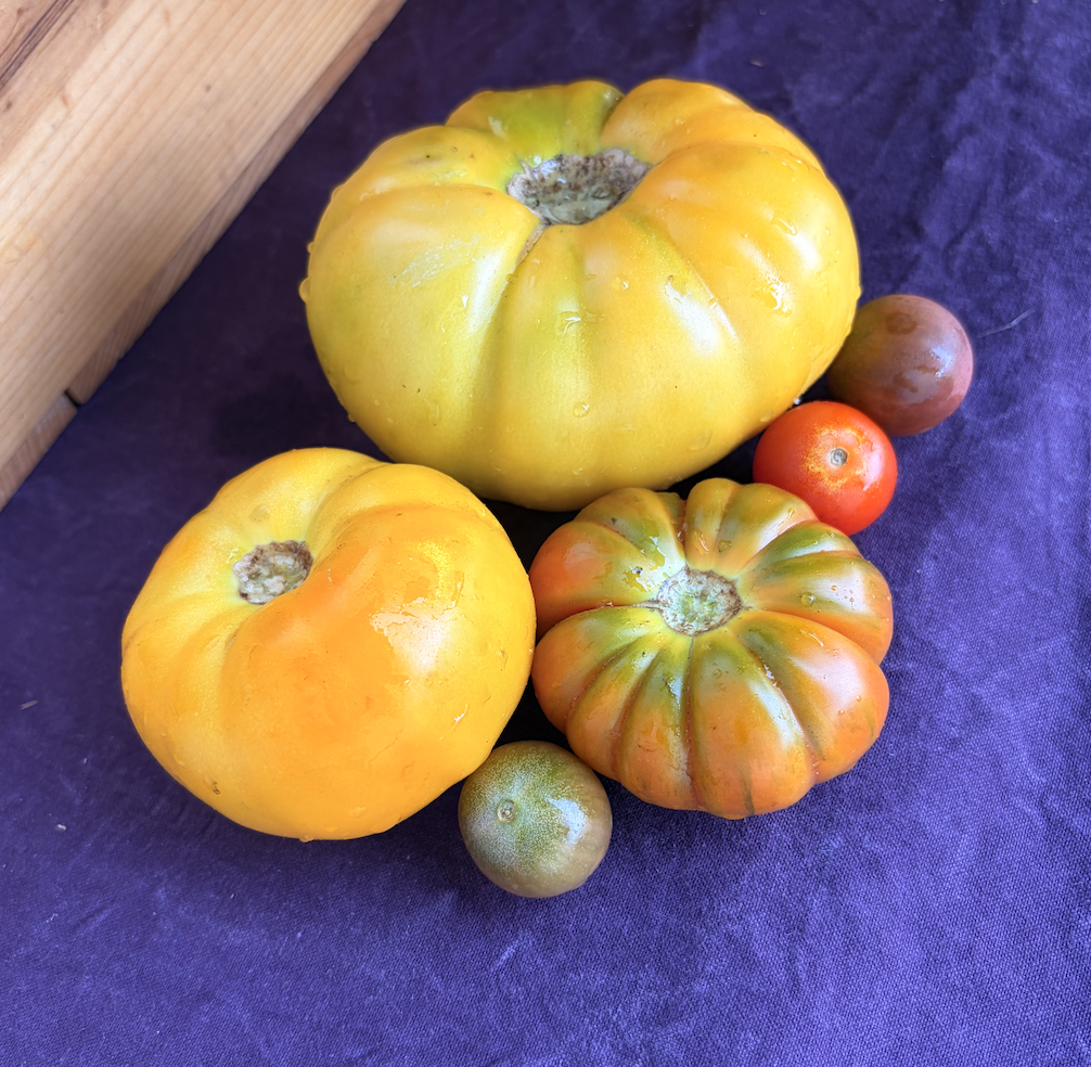 Tomatoes