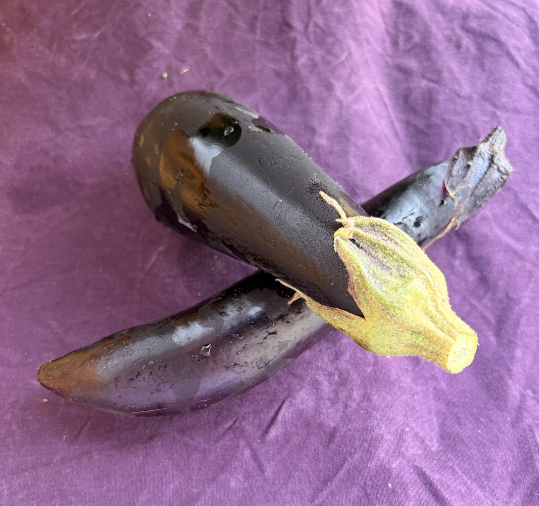 Eggplant