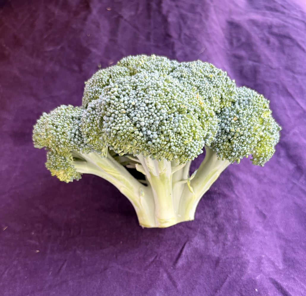 Broccoli