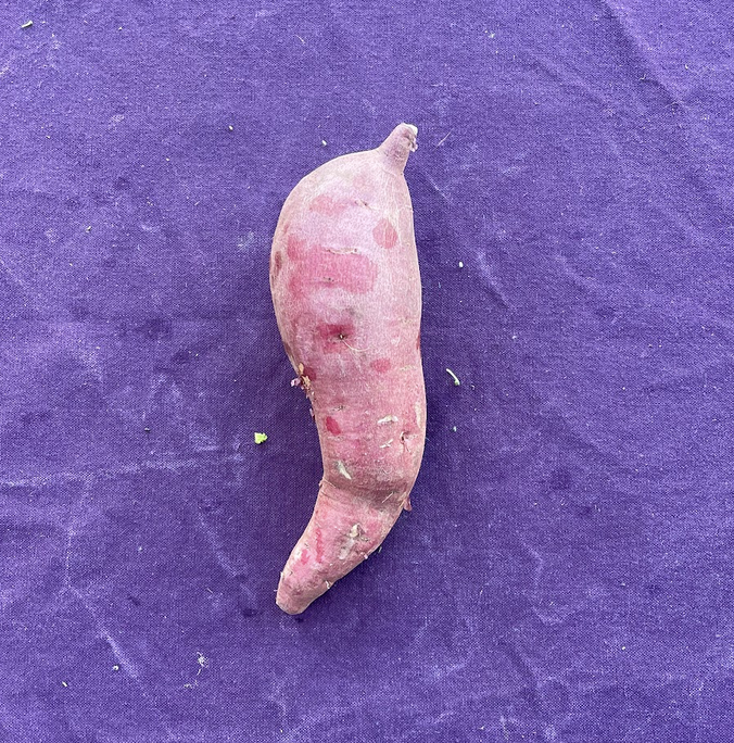 A photo of a red sweet potato.