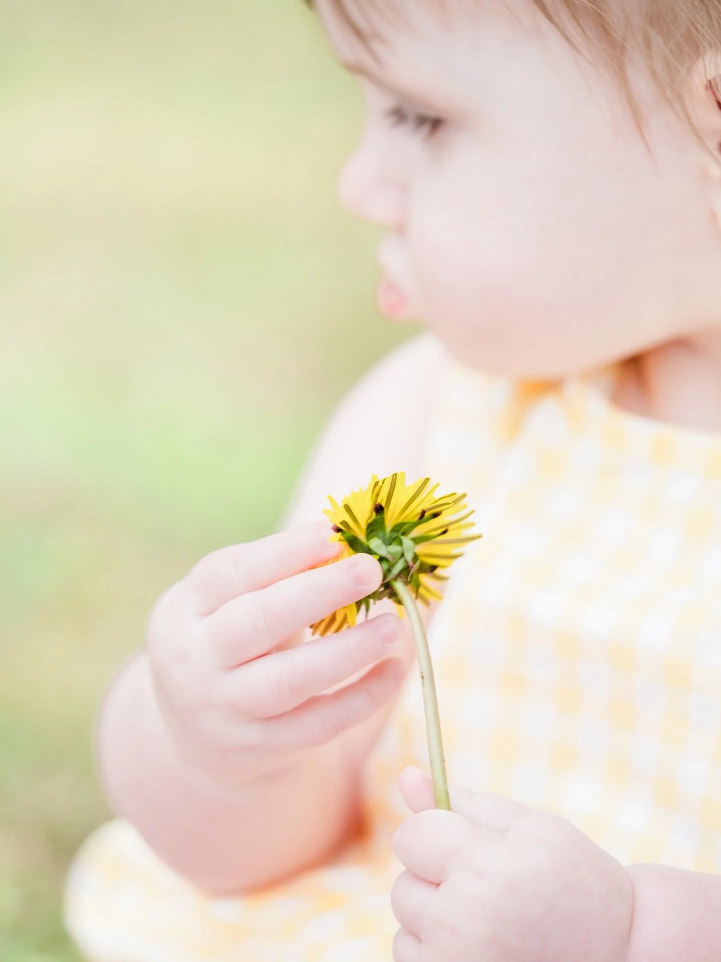 Lost in the wonder of simple things 🌼💛