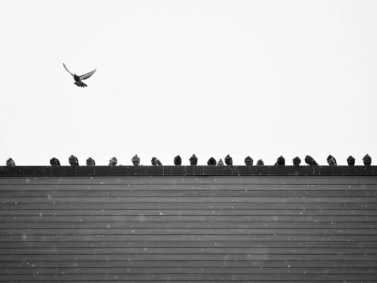 Breakaway