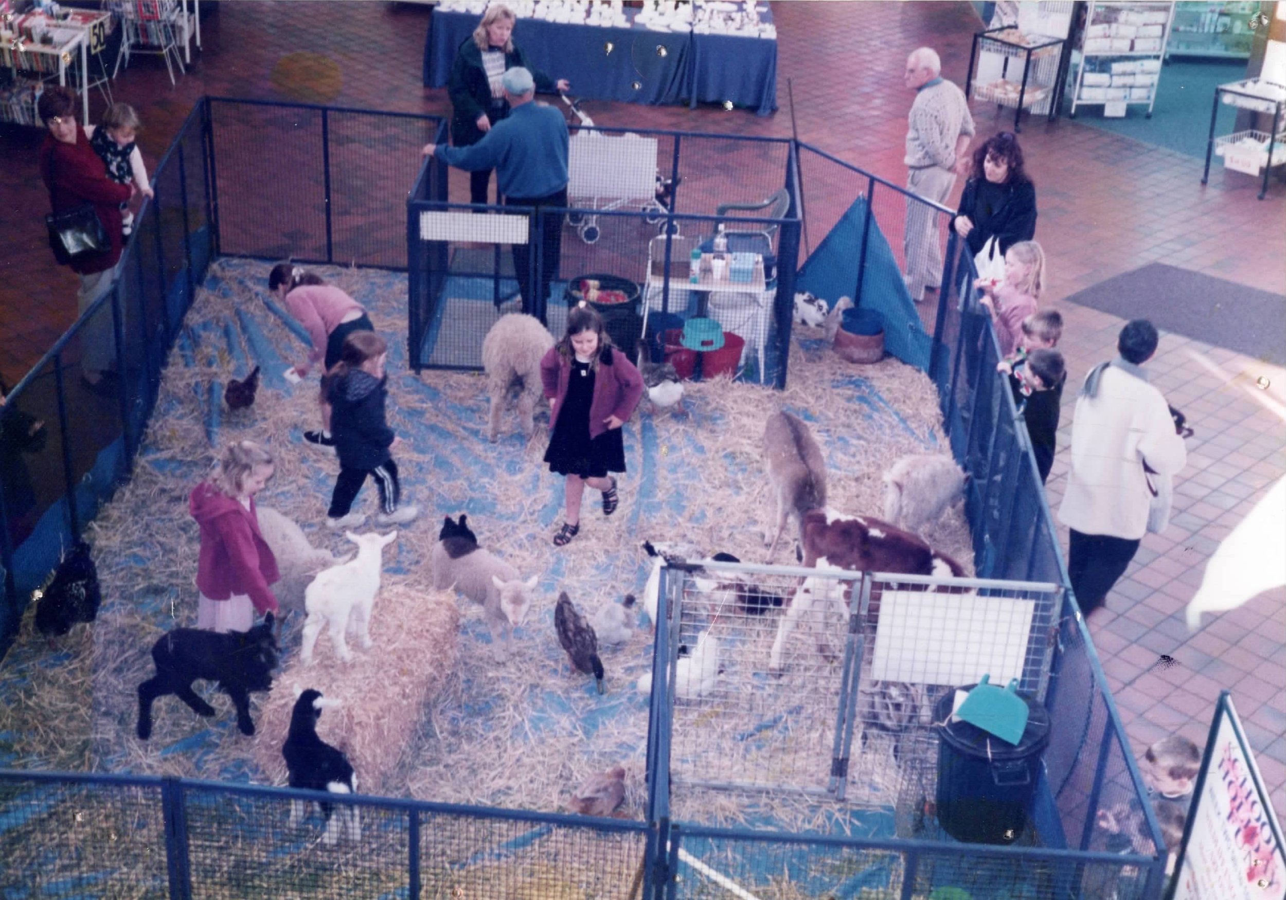 Petting Zoo c. 2000s
