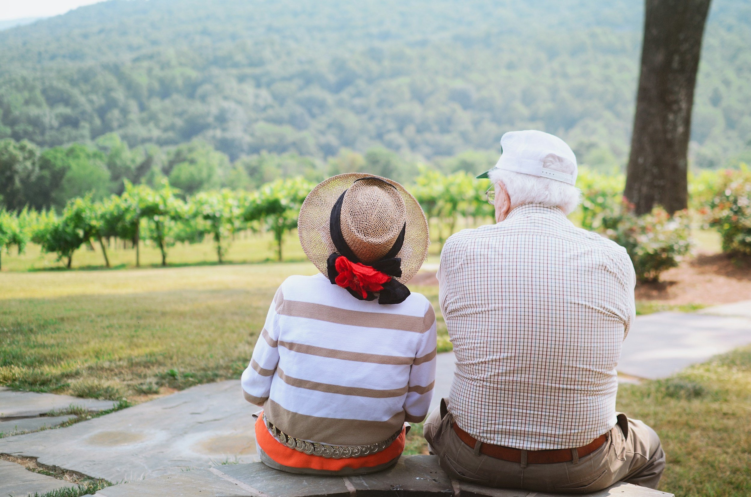 Two elderly people sitting outdoors, one wearing a straw hat with a red flower, overlooking a vineyard and forested hills.