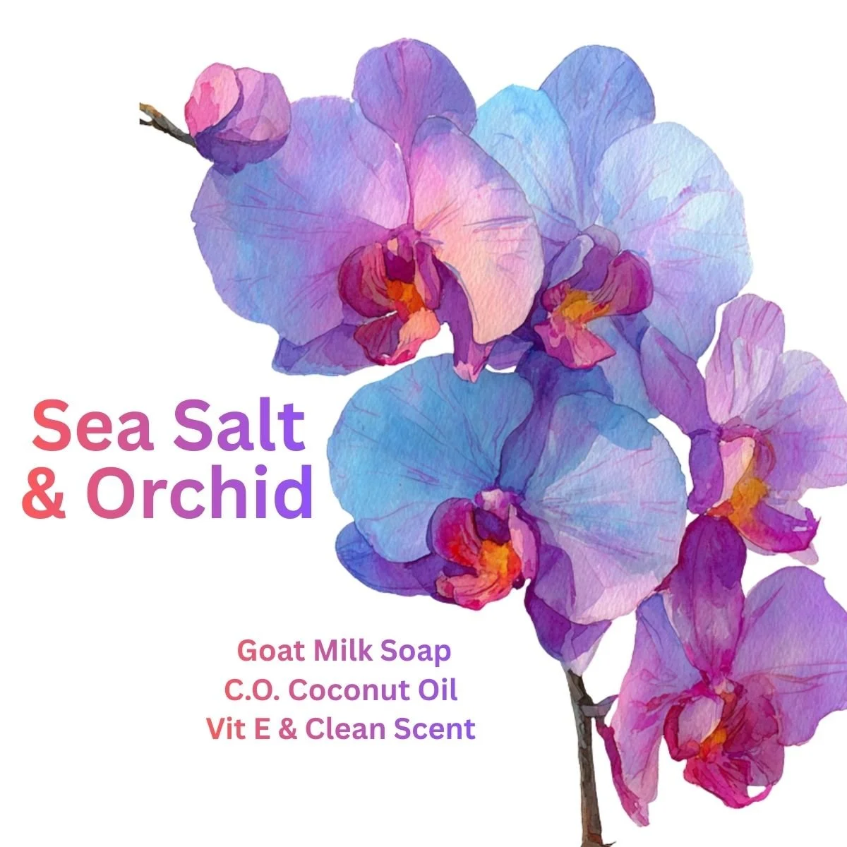 Goat Milk Soap (6 Bars)