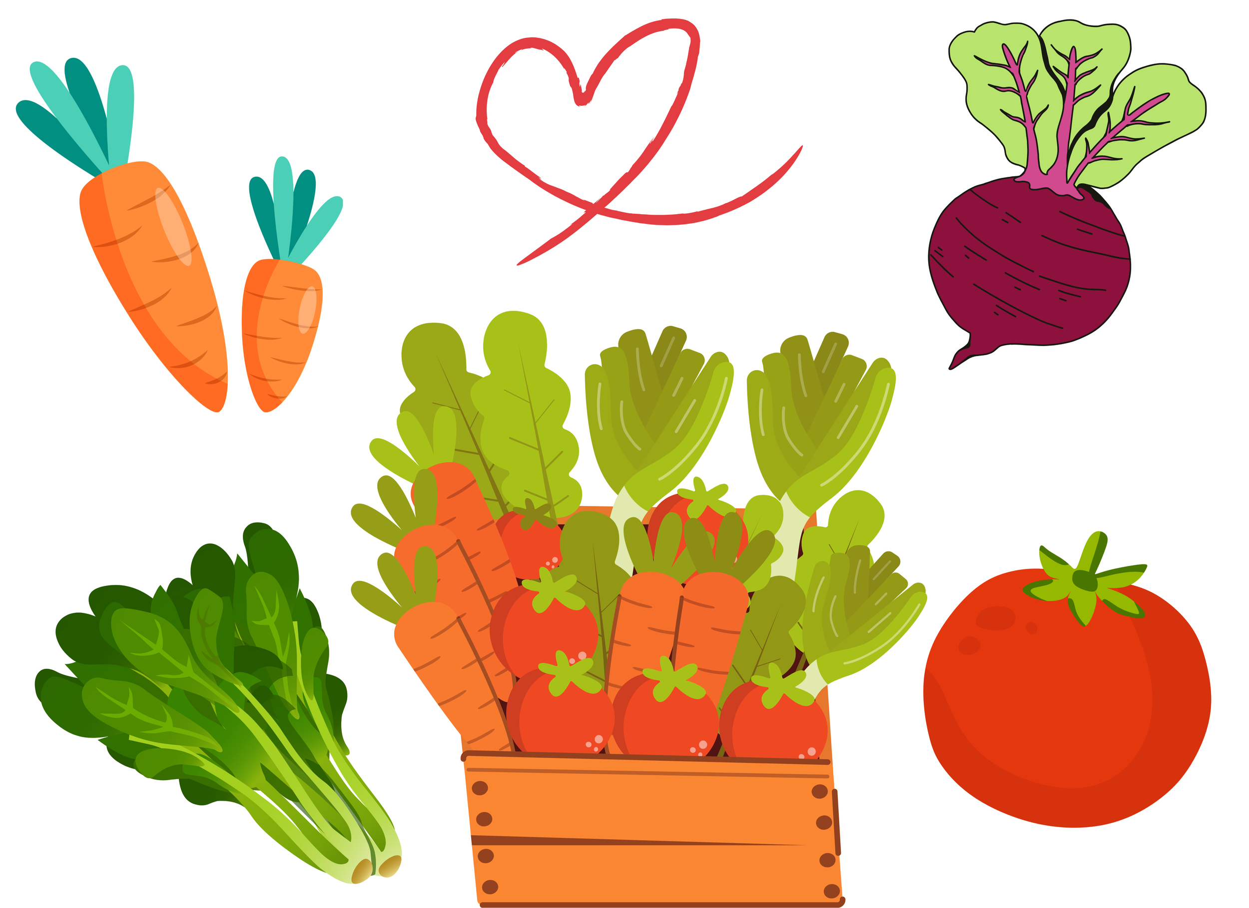 Kid vegetable 26 copy.png