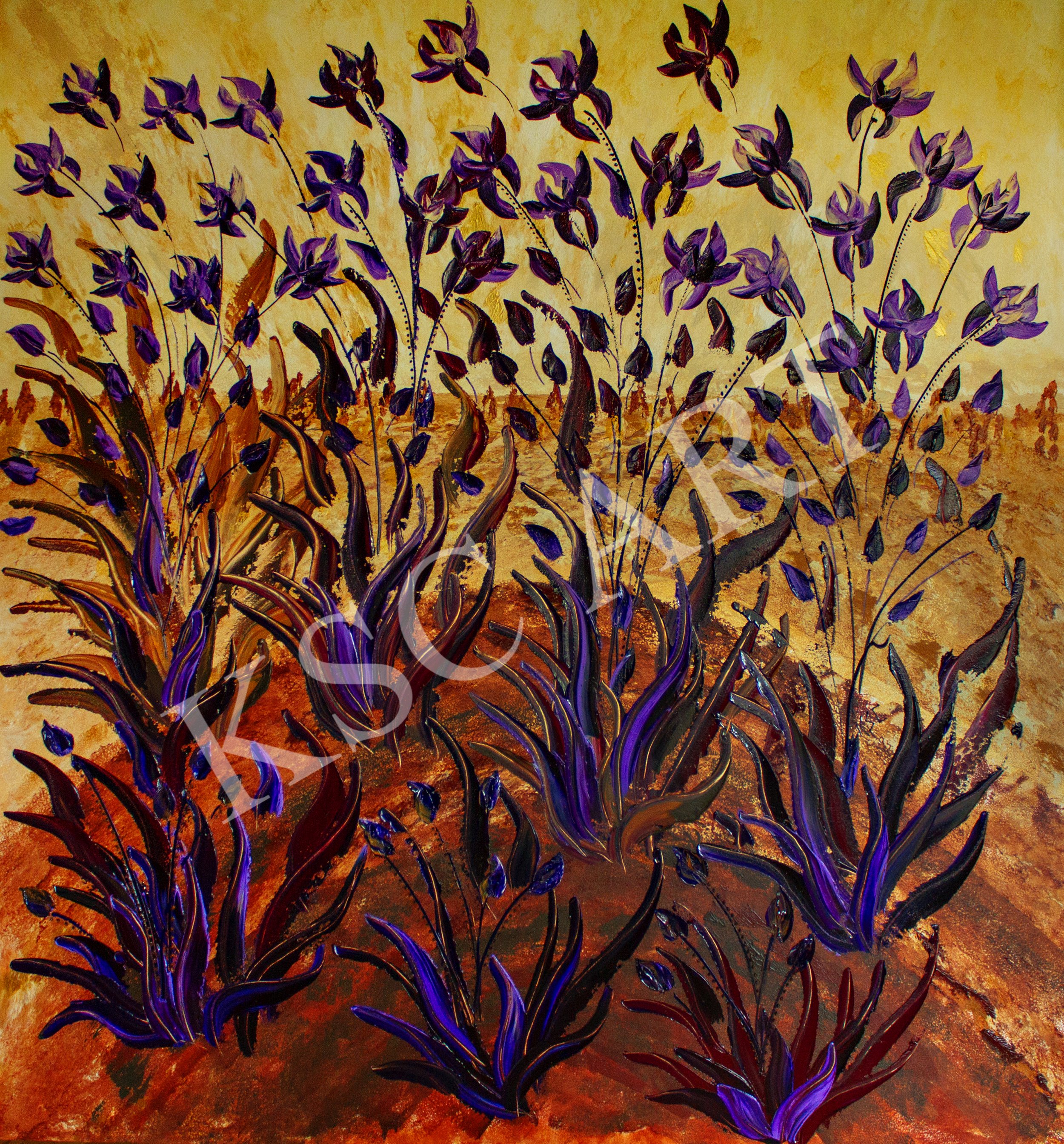 Iris II