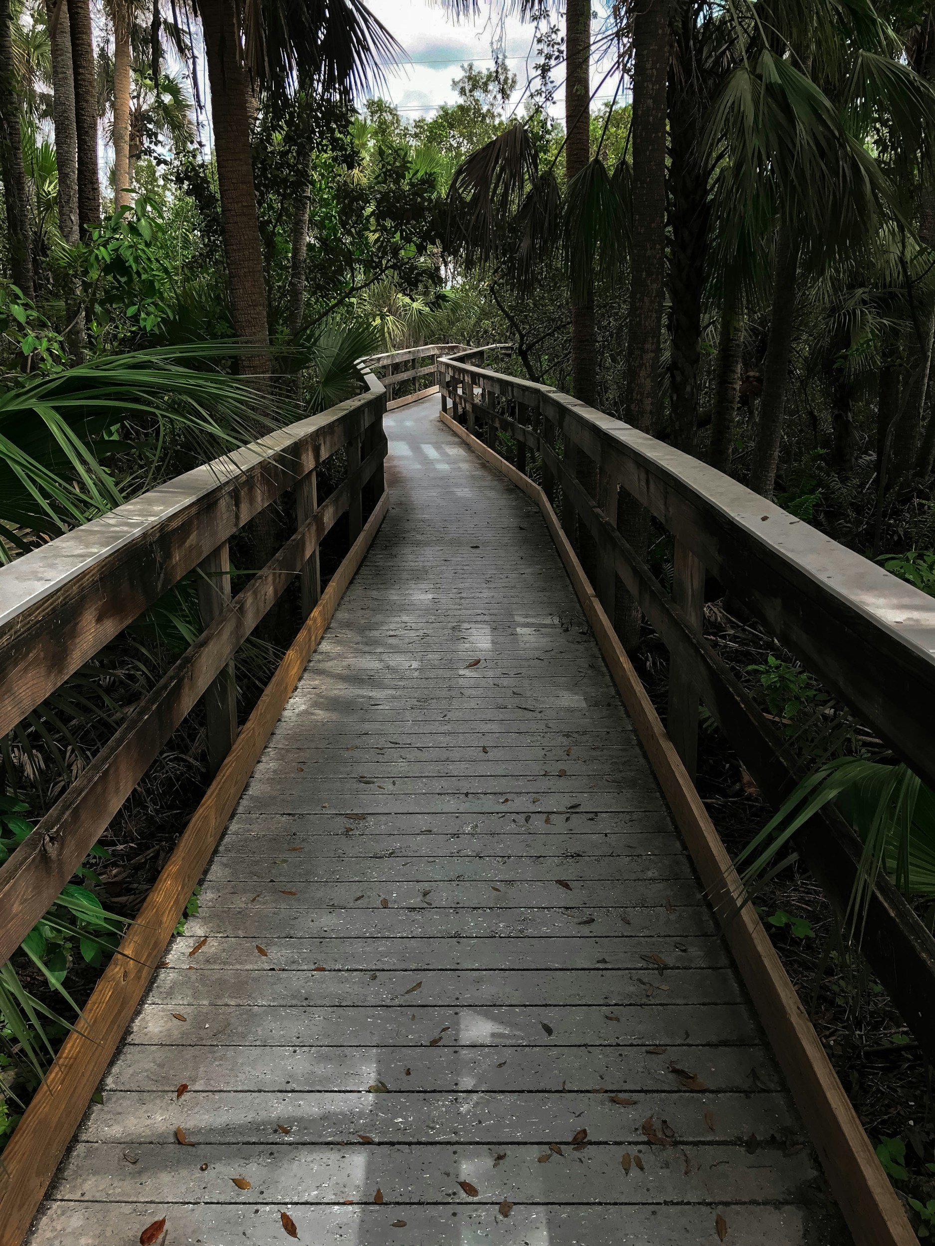 Loxahatchee and The Acreage CPA and Accountant
