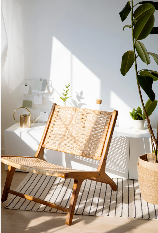 Brightly lit room with a wicker chair, large potted plant, white cabinet, and striped rug. Sunlight casts shadows on the walls, and a gold watering can and small plants are on the cabinet.