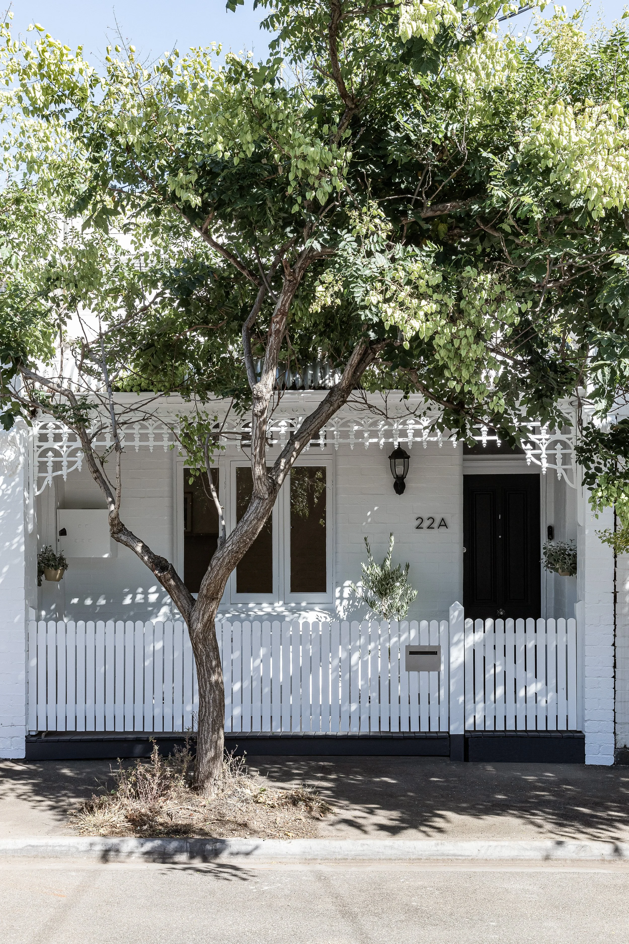 White house with a picket fence and a tree in front