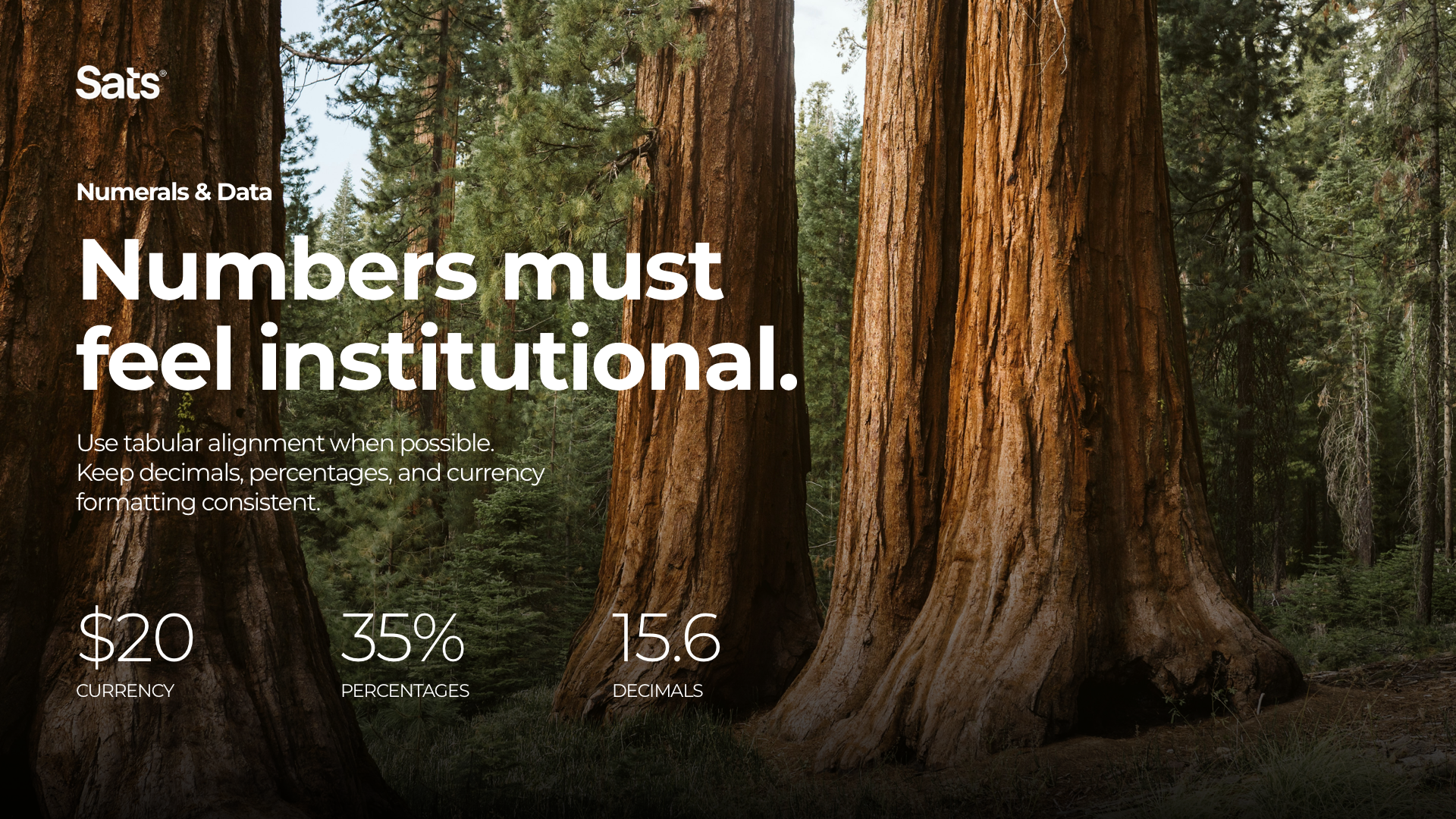 Intro Icon Copia 21.png