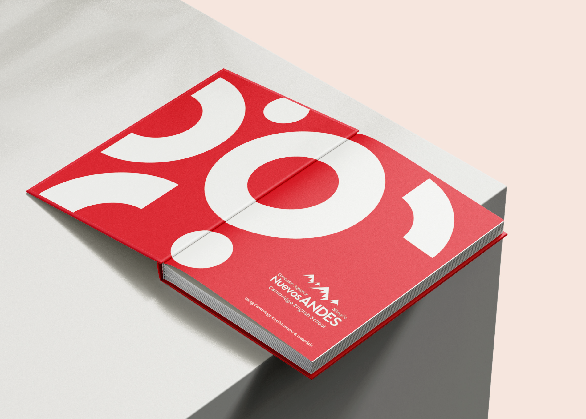 Captura de pantalla 2025-11-04 a las 4.14.28 p. m..png