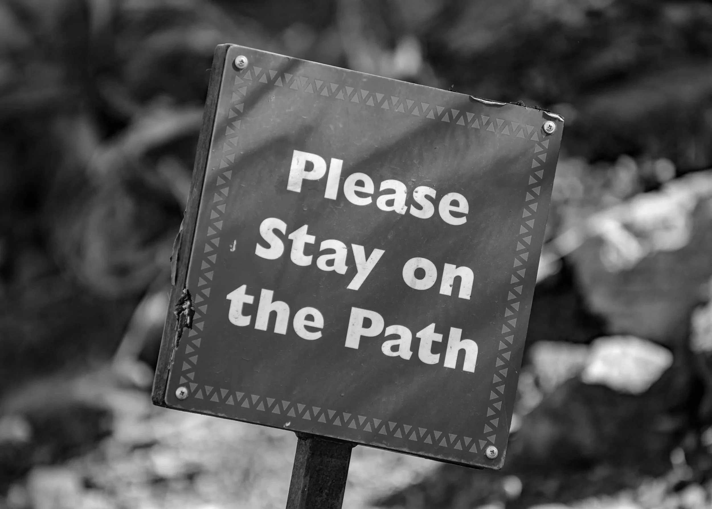 Management Commitment Is Not a Buzzword. It Is Your Safety Culture