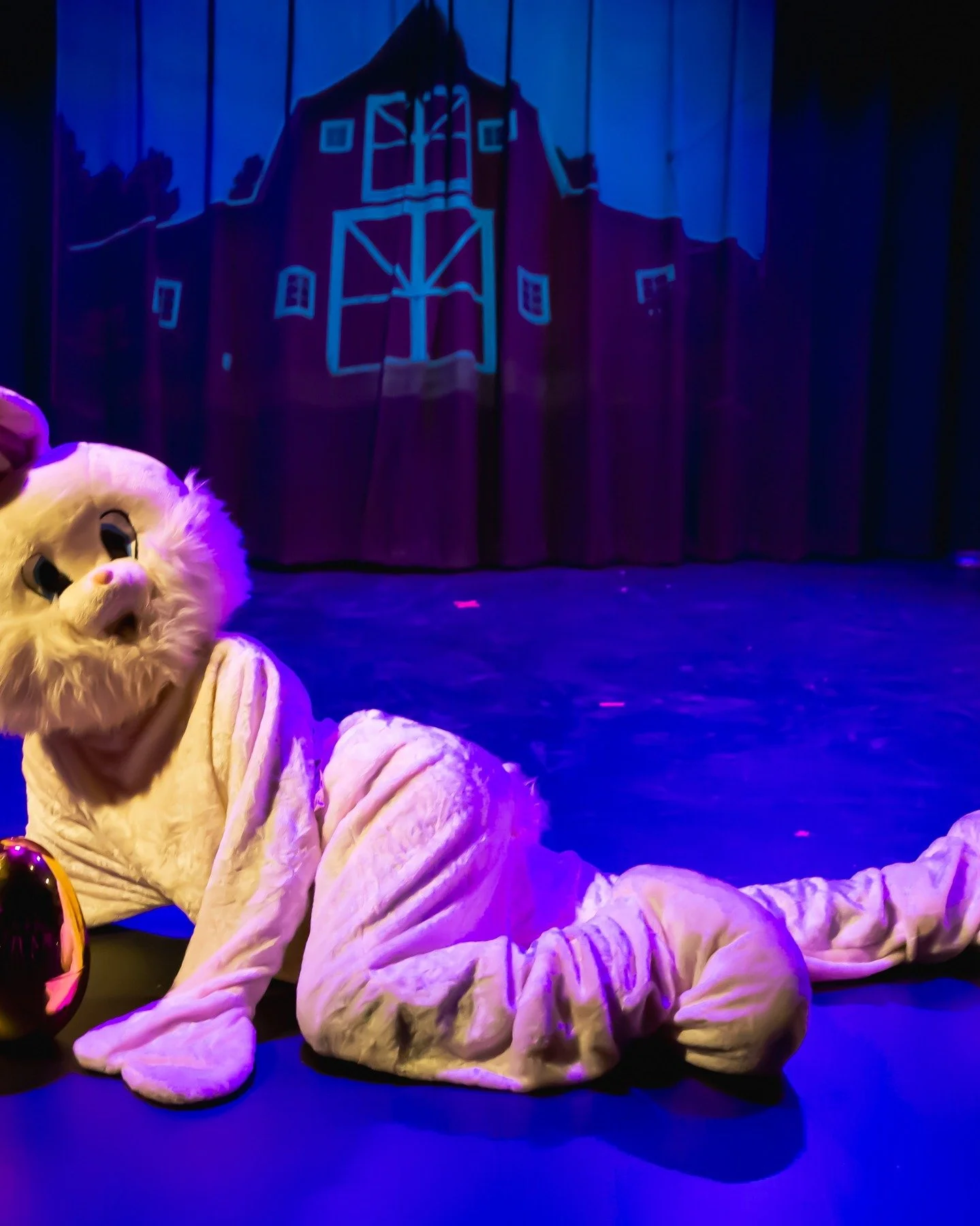 A little recap of the first act of Barnyard Bumps and Grinds
Photographed by @capturedexposure