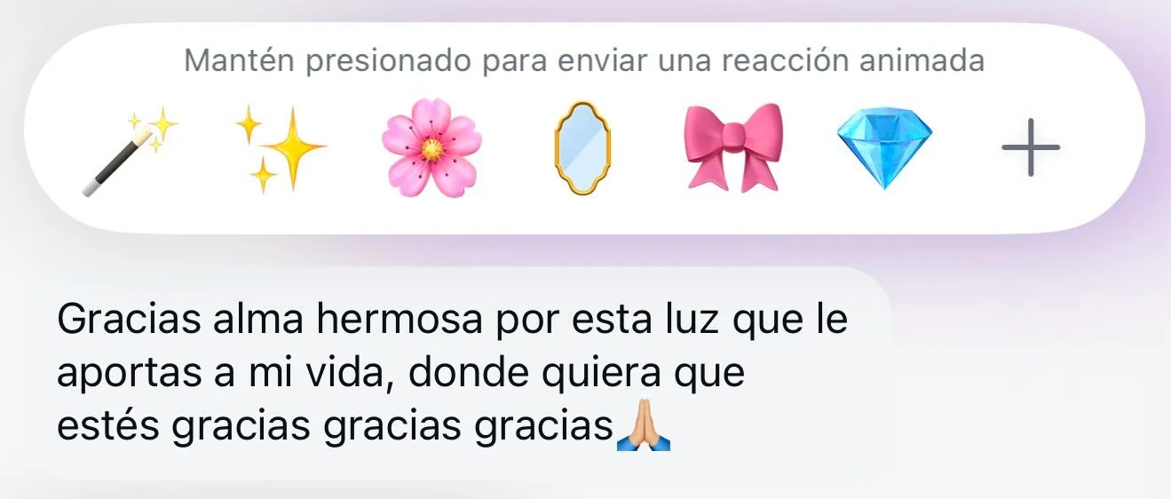 Imagen de WhatsApp 2025-03-20 a las 12.14.55_fd4e4afa.jpg