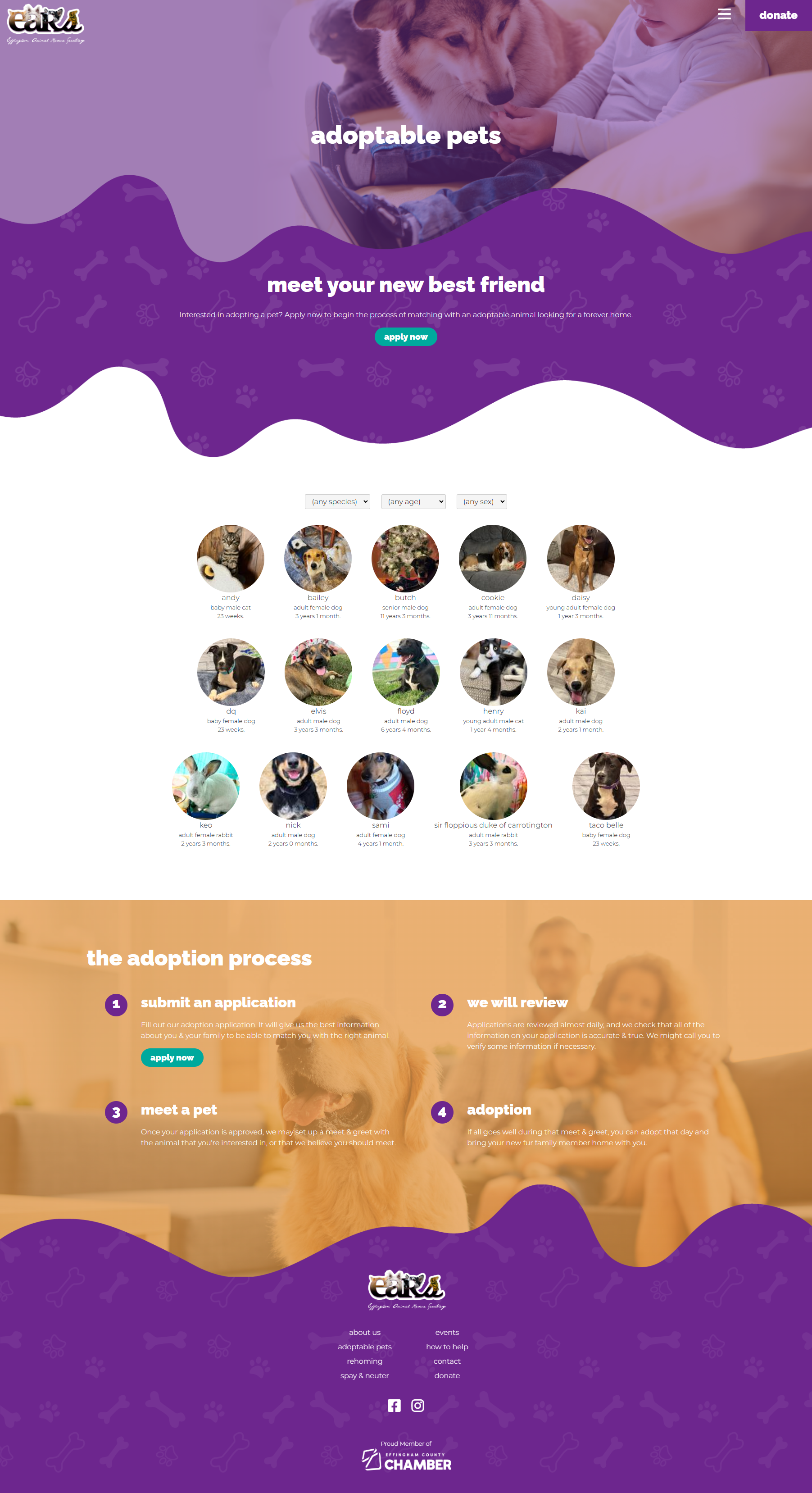 screencapture-effinghamanimalrescue-adoptable-pets-2025-03-06-22_06_31.png