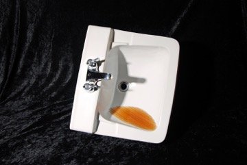 3rd Prize: Michael Sanata, "Thirsty", sink, vinyl text and resin, 2014
