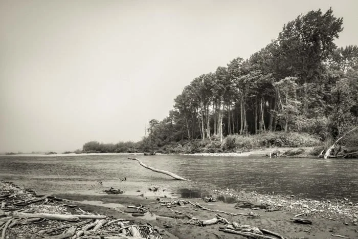 The Elwha: A River Set Free