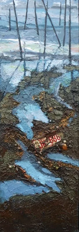 Marine Birds in Decline