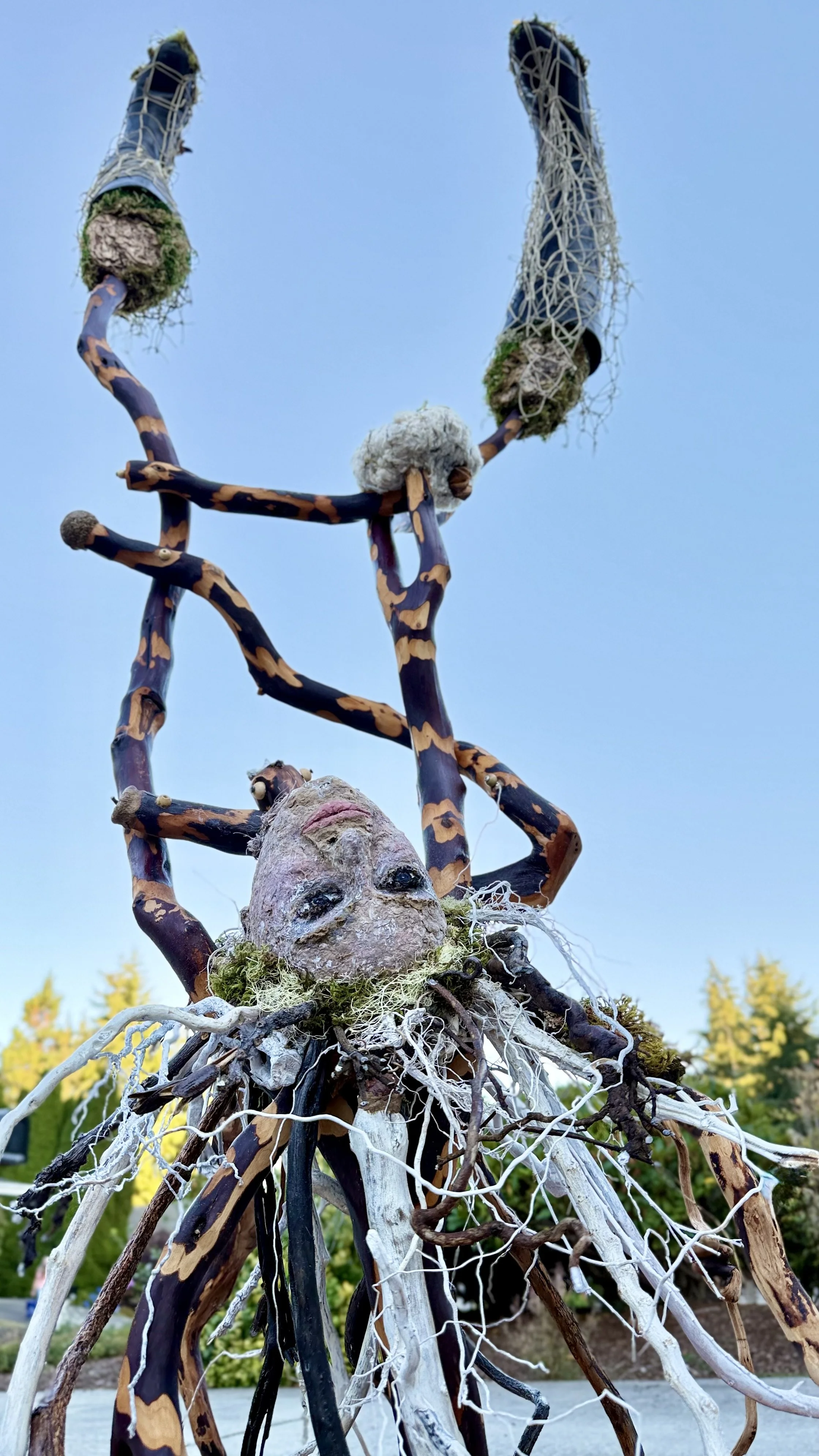 Kathy Bussert-Webb: Healing From Nature and Discovering Her Sculptural Materials