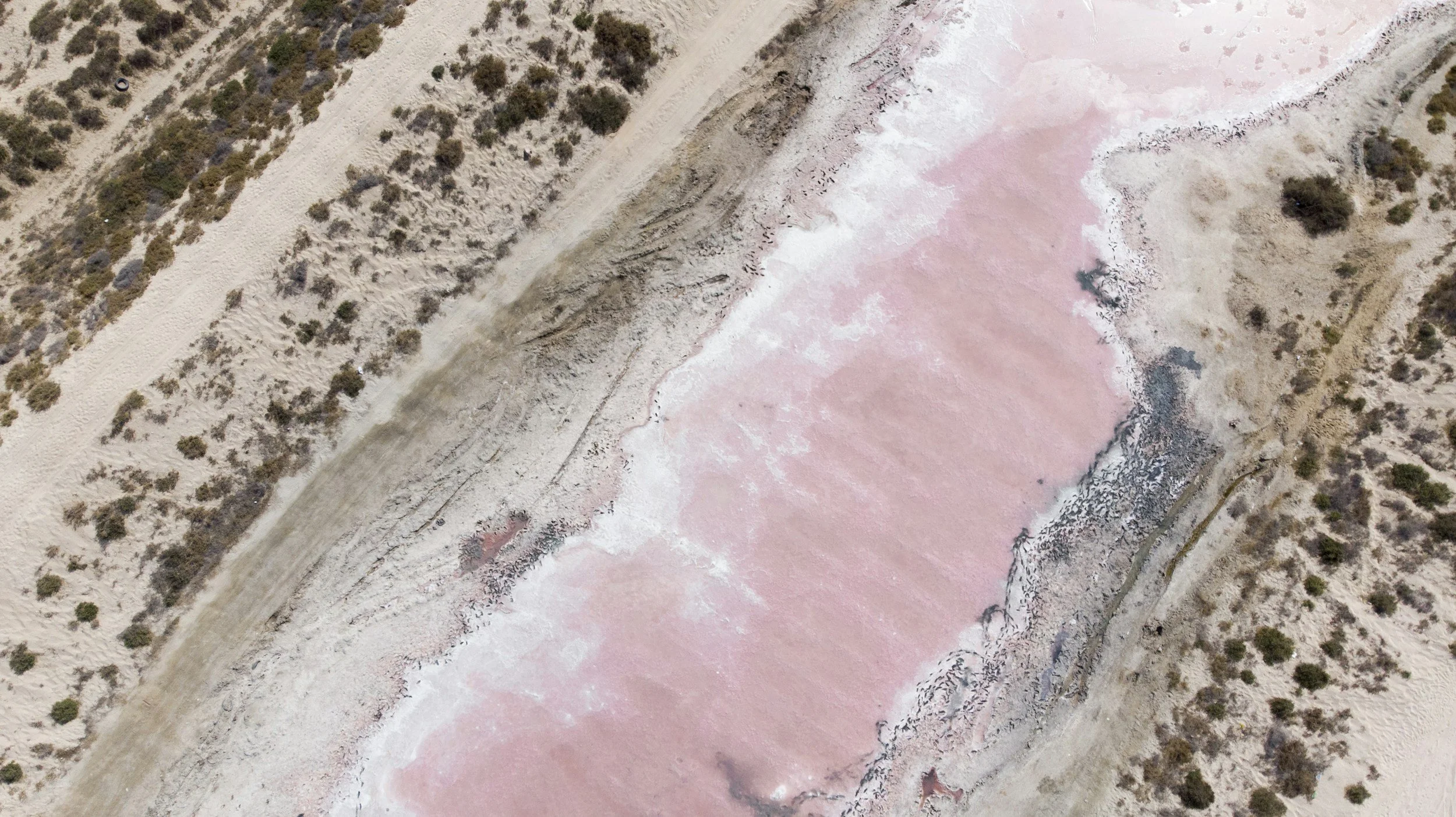Aerial view of a dry, arid landscape with a pink salt flat or mineral formation in the center, surrounded by sparse vegetation and rugged terrain.