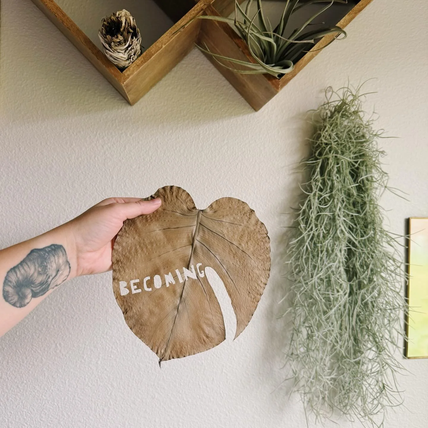 Spending this season reflecting with care and intention. Holding space for what I&rsquo;m releasing, nurturing, and what I&rsquo;m quietly committing to while honoring rest and change without forcing growth. What is becoming for you without force?

#