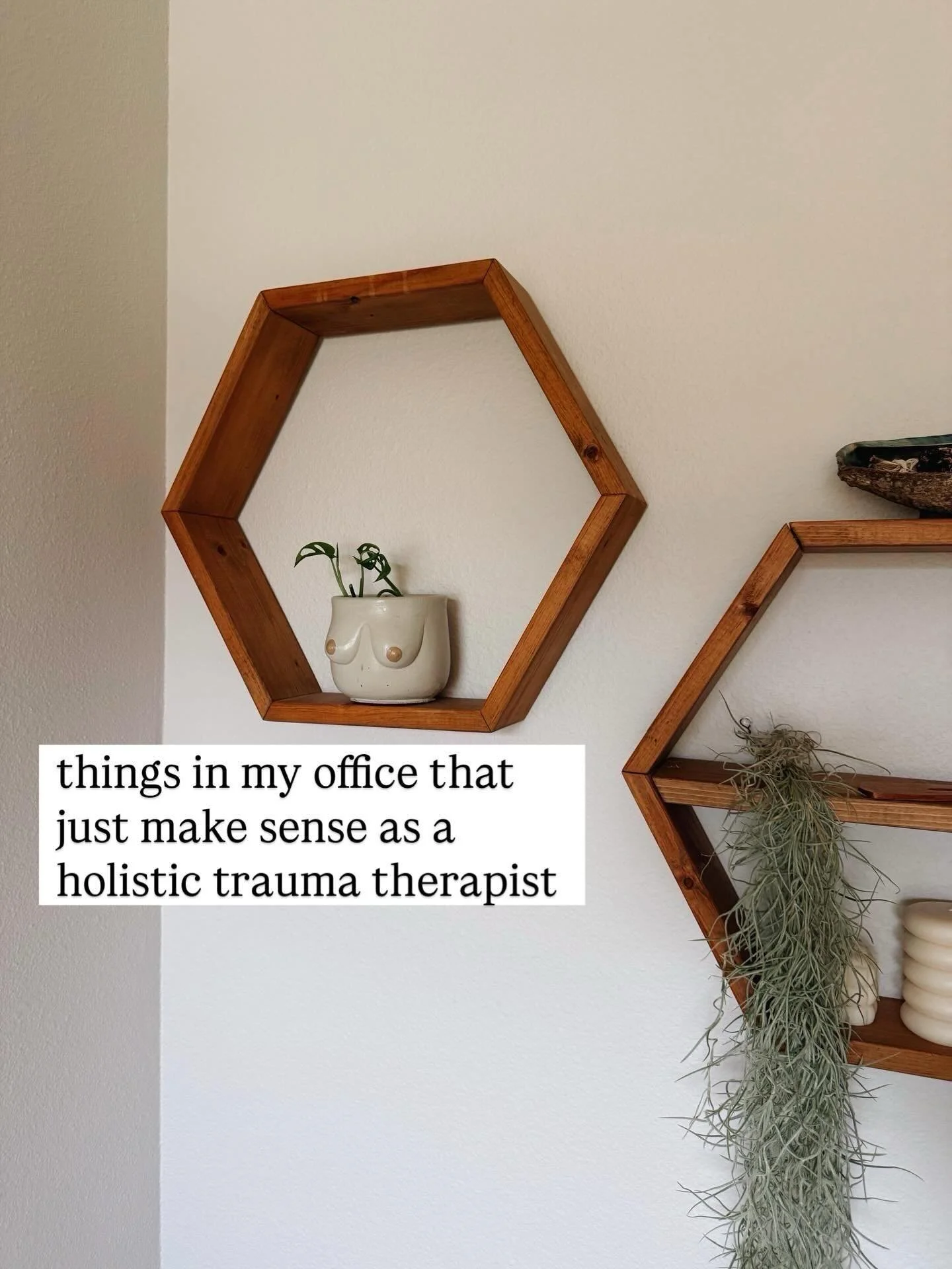 Having a cozy environment for trauma therapy is part of regulating the nervous system before any trauma processing begins. Here are a few things in my office that create a calm and supportive environment.

Even virtually, the environment matters. Wha