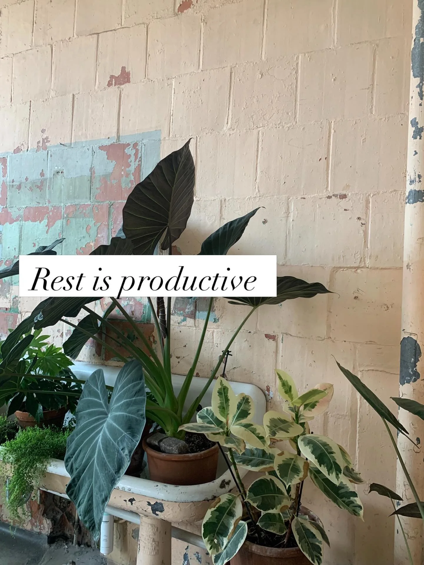 Some truths that have been coming up in sessions this week 

#marylandtherapist #texastherapist #traumatherapist #religioustrauma #mentalhealth