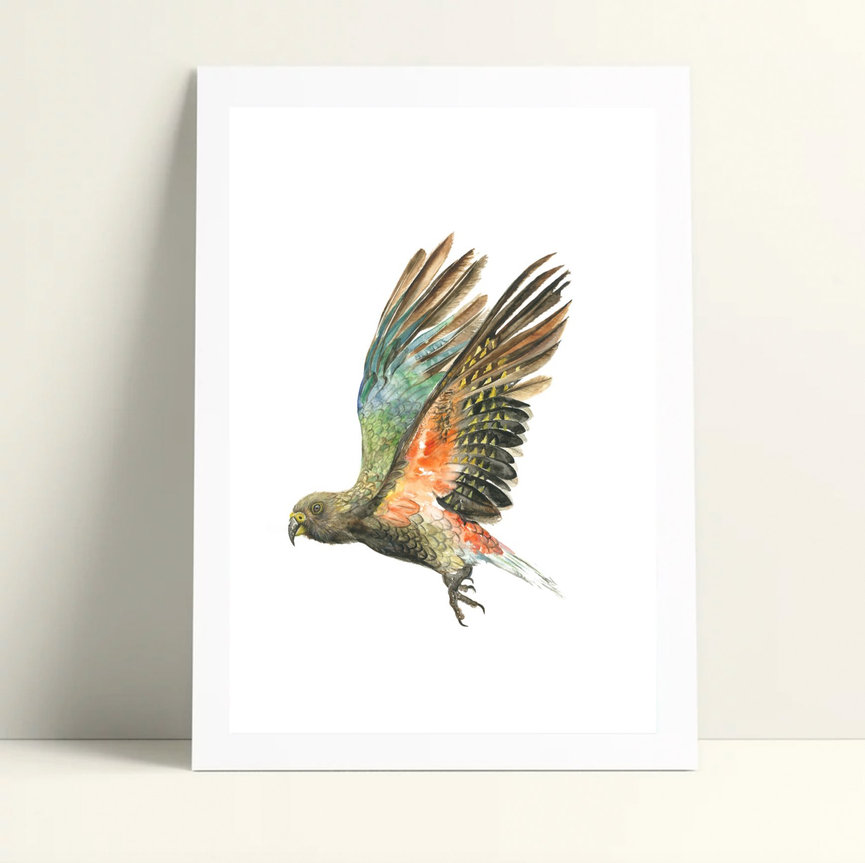 Kea in flight.jpg