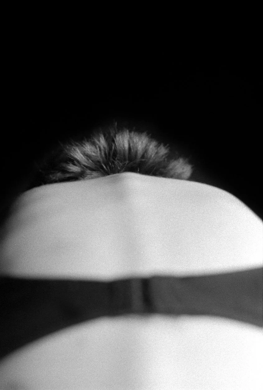 abstraction_2_1 copy.jpg