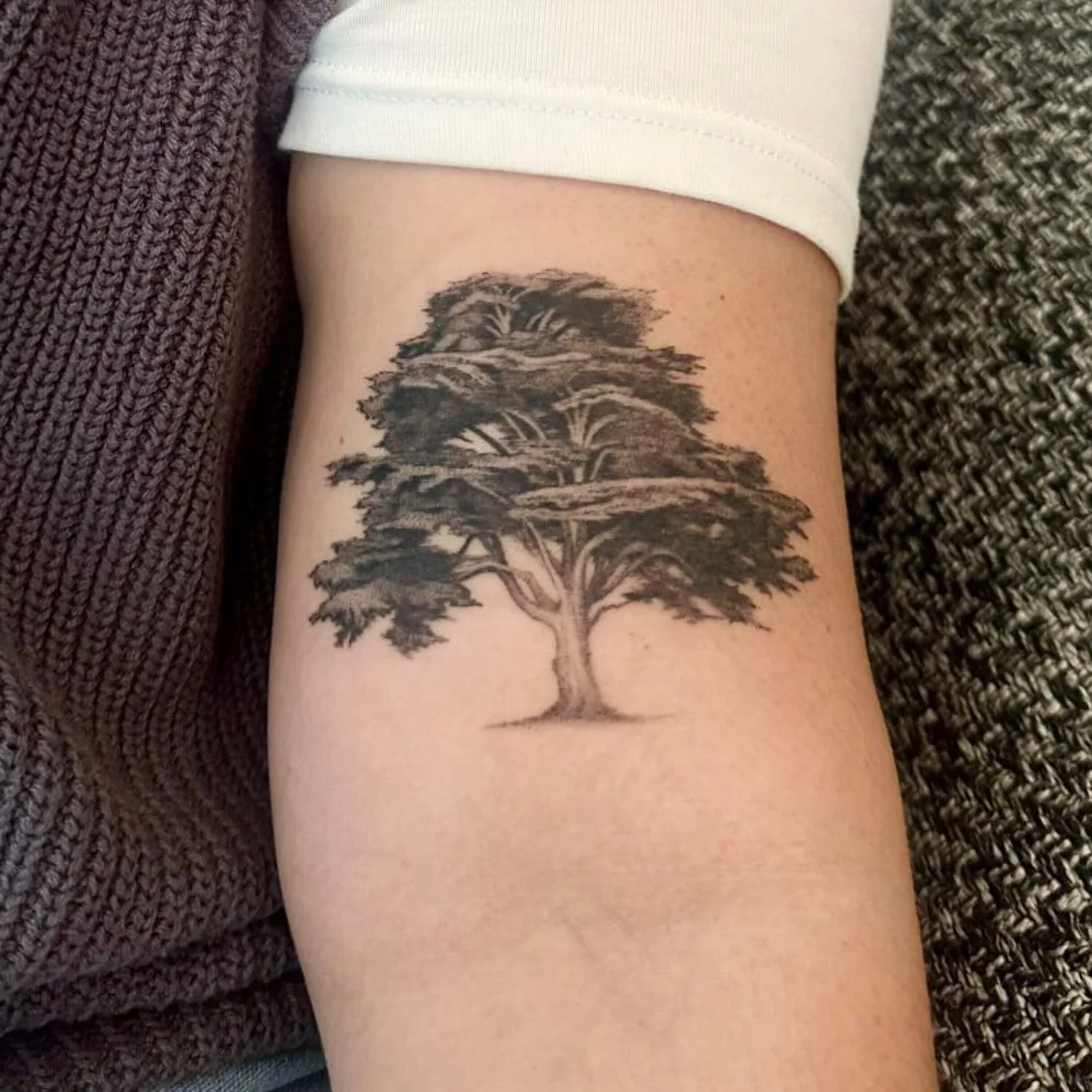 4BA374E5-5299-46A7-8F04-C7C3D8D6E15E 2.jpg