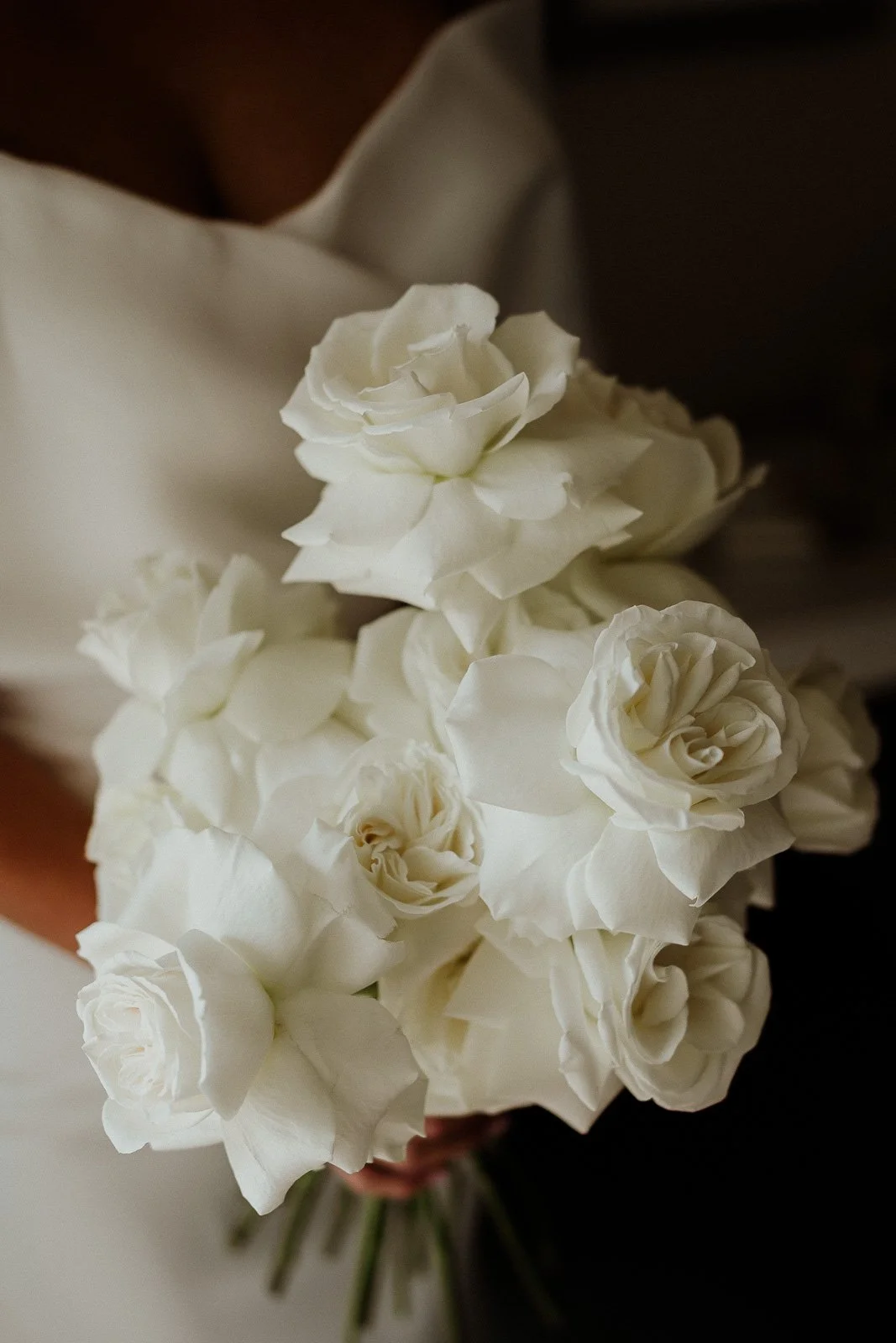 untitled-1152.jpg