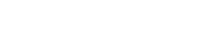 True North Occupational Therapy