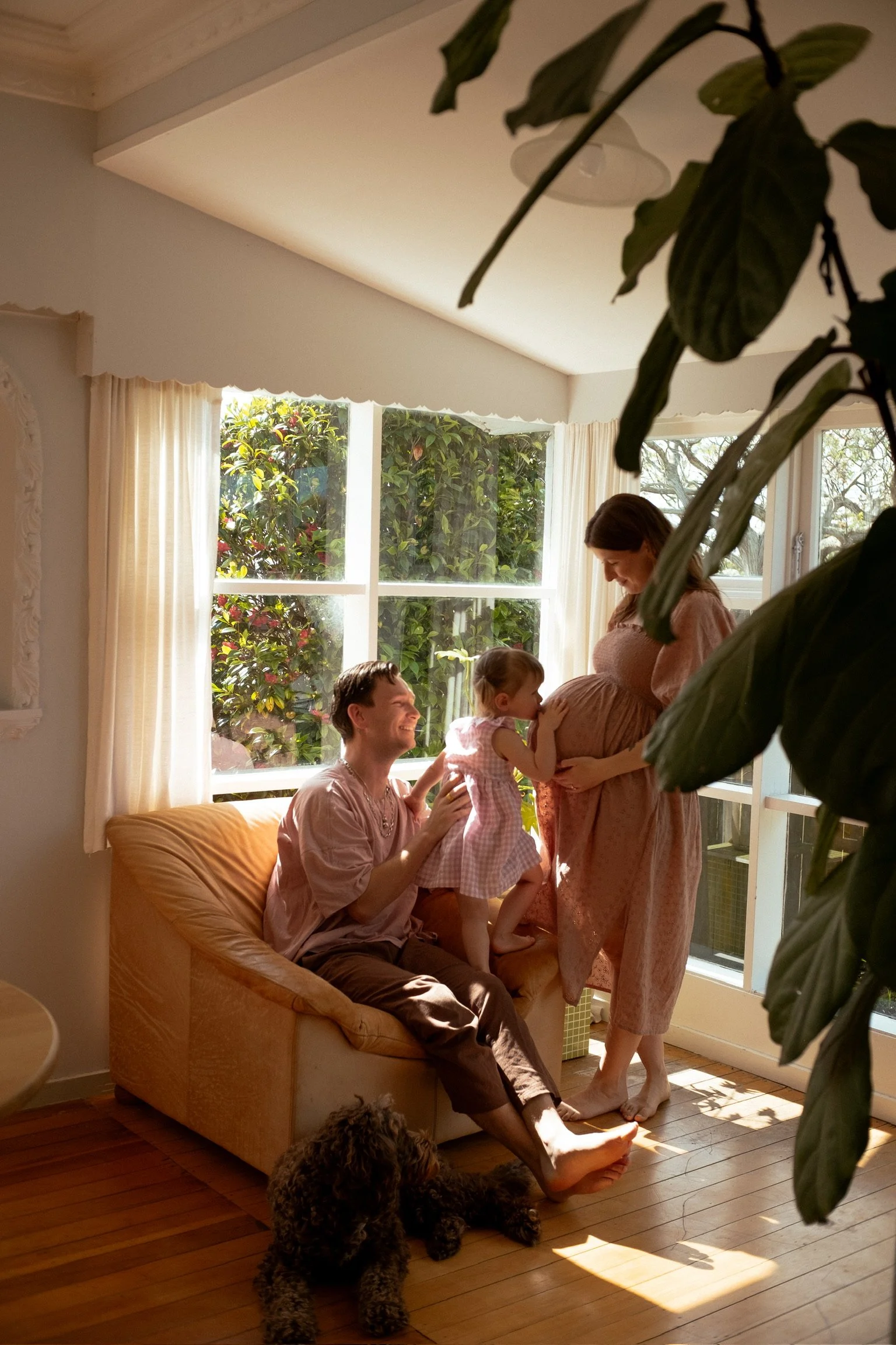 Family with pregnant woman, young girl, and man inside a bright living room, with a dog on the floor and sunlight streaming through the large windows, partially obscured by a plant in the foreground. Family photographer. Hamilton New Zealand Photo