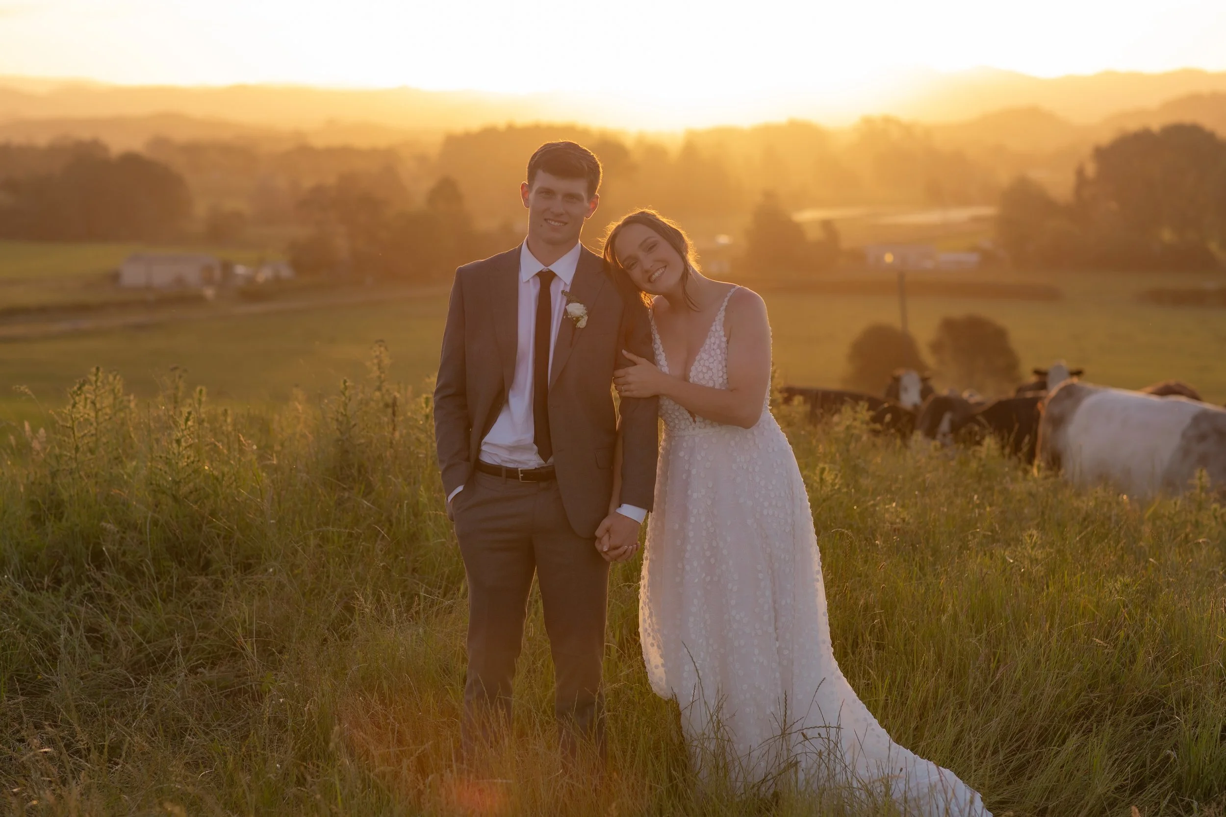 A newlywed couple holding hands and smiling in a field at sunset, with cows grazing in the background.  Wedding Photography Waikato New Zealand. Wedding Photography Hamilton New Zealand. Northland Wedding Photography