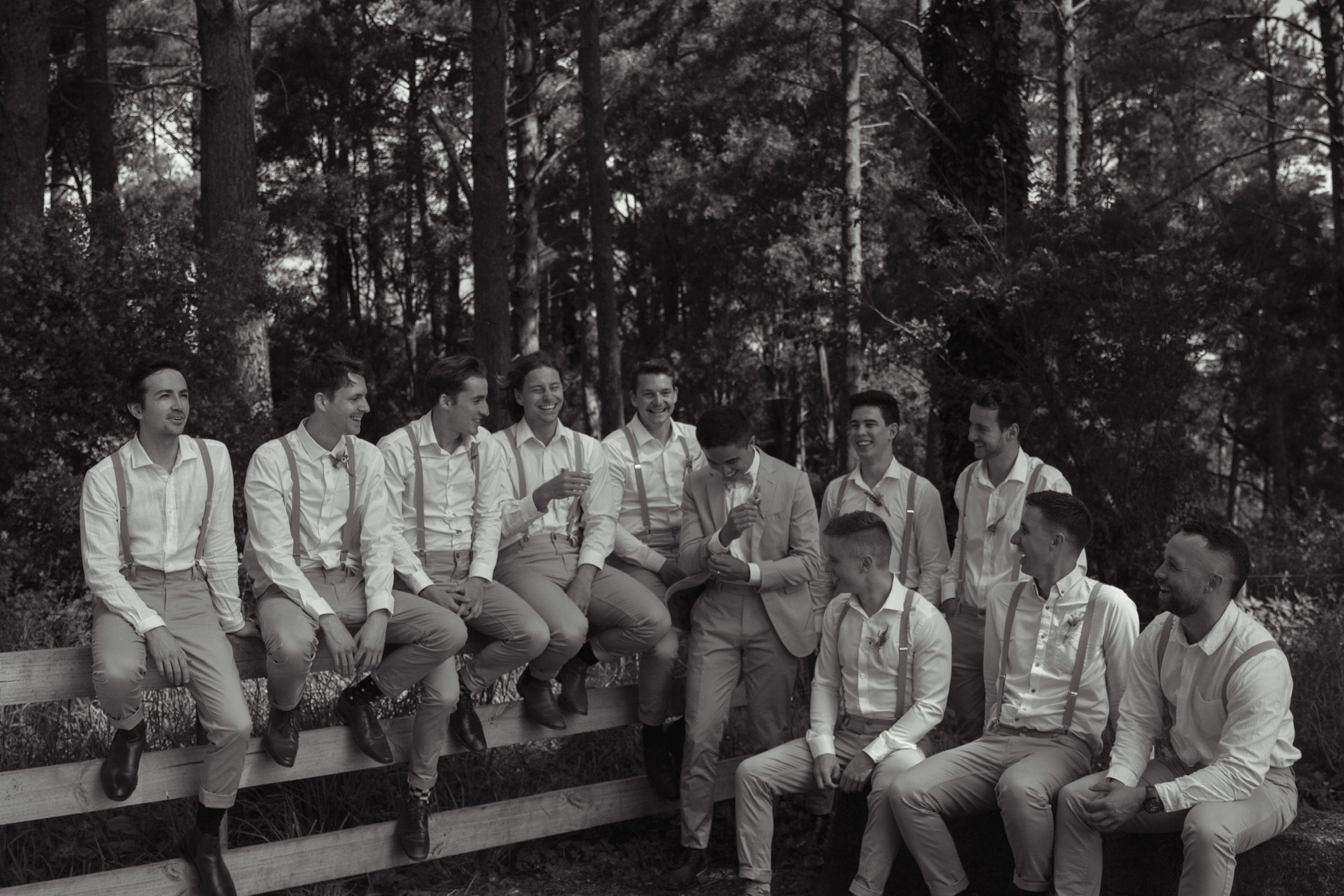 Black and white photo of eleven men dressed in formal attire, sitting on a wooden fence in a wooded outdoor setting, casually chatting and laughing.  Wedding Photography Waikato New Zealand. Wedding Photography Hamilton New Zealand. Northland Wedding