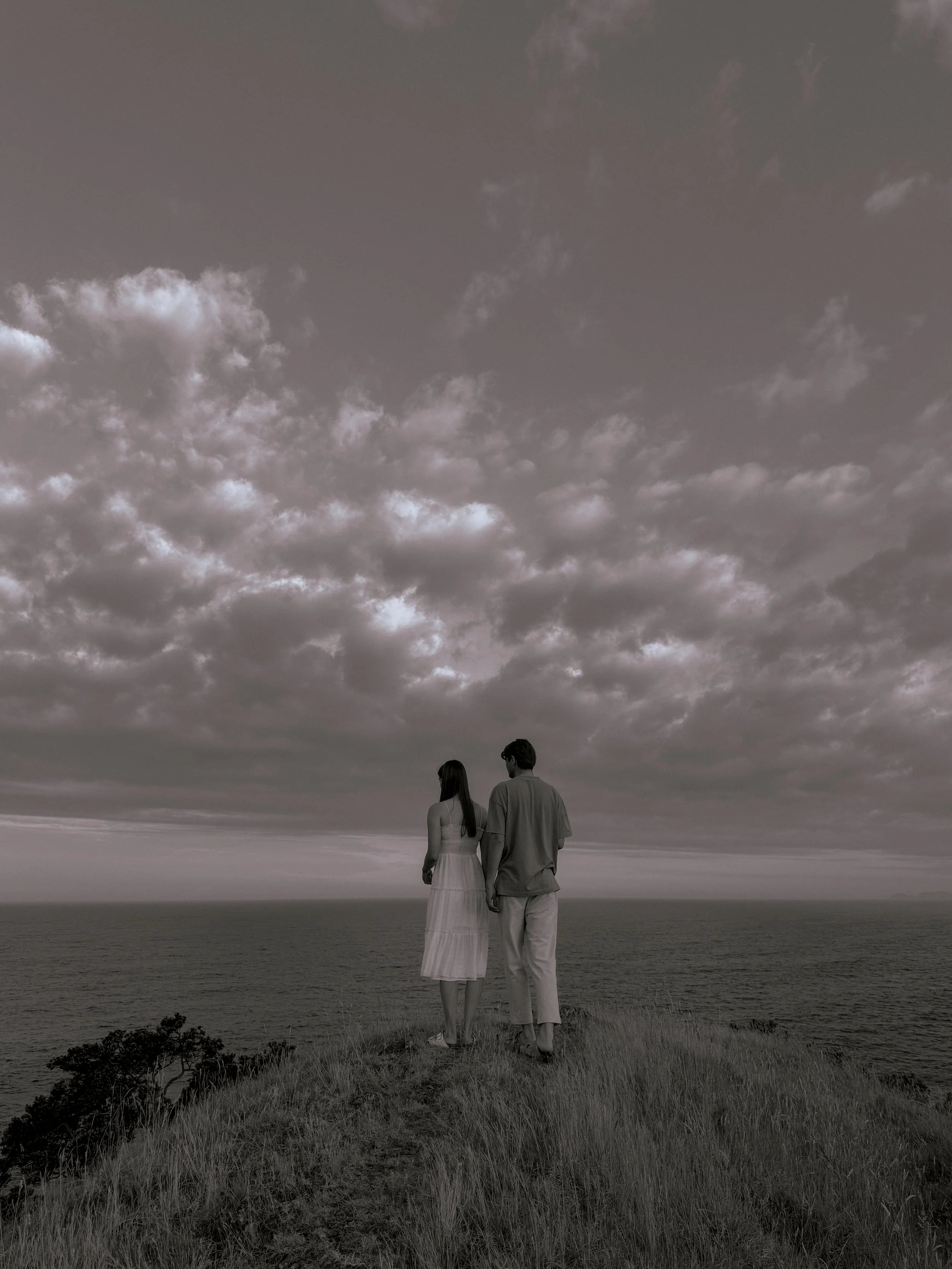 Auckland Wedding Photographer, Northland Based Wedding Photography, Engagement Photographer, Northland Couples Photography