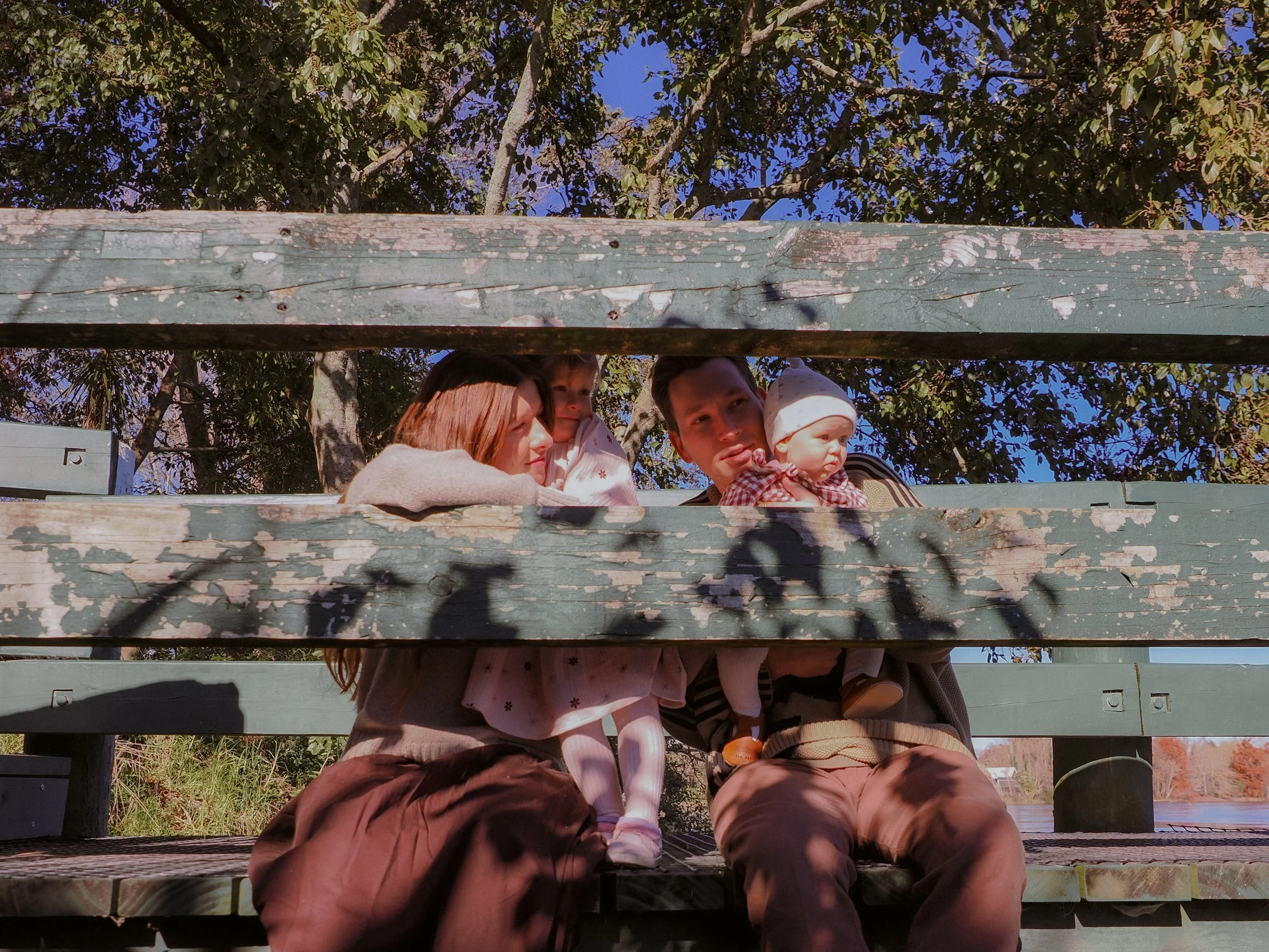 People sitting on a park bench, framed by wooden planks, with trees and a blue sky in the background. Family Photography Waikato New Zealand. Family Photography Hamilton New Zealand. Northland Wedding Photography