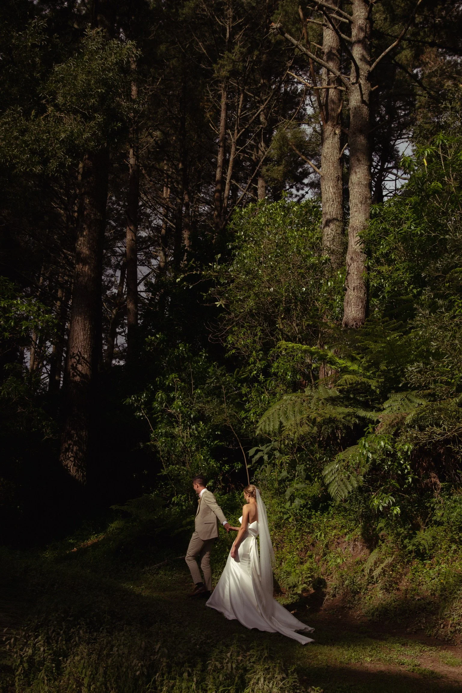 A bride and groom walk hand in hand through a wooded forest at sunset, with tall trees and dense greenery surrounding them.  Wedding Photography Waikato New Zealand. Wedding Photography Hamilton New Zealand. Northland Wedding Photography