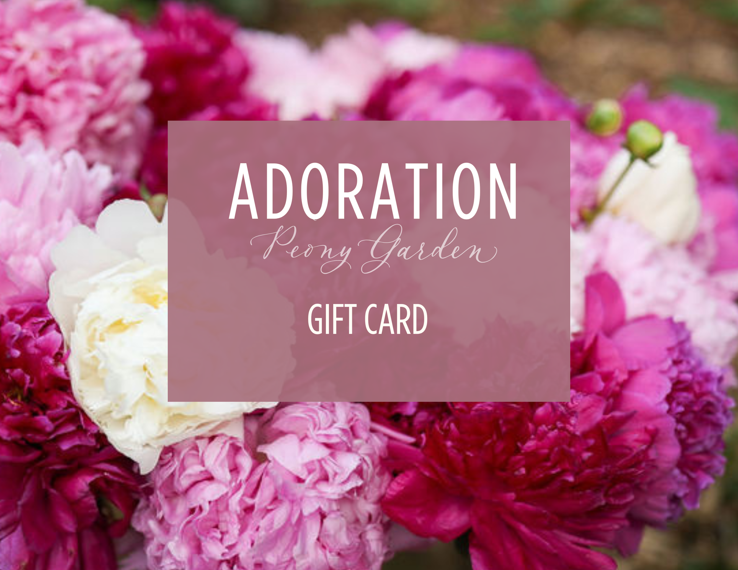 Adoration Peony Garden Gift Card.png