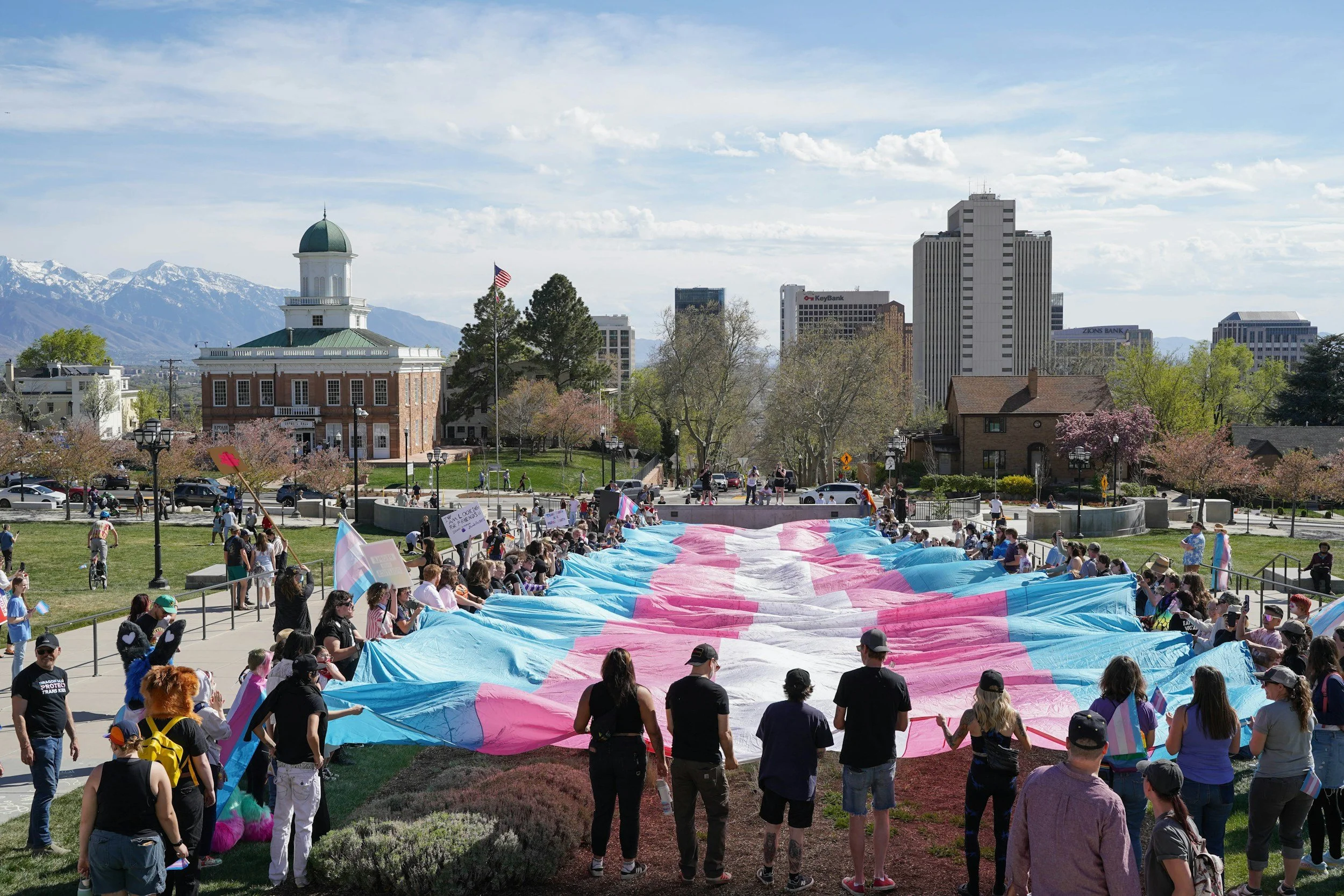 Transgender &amp; Gender-diverse Support