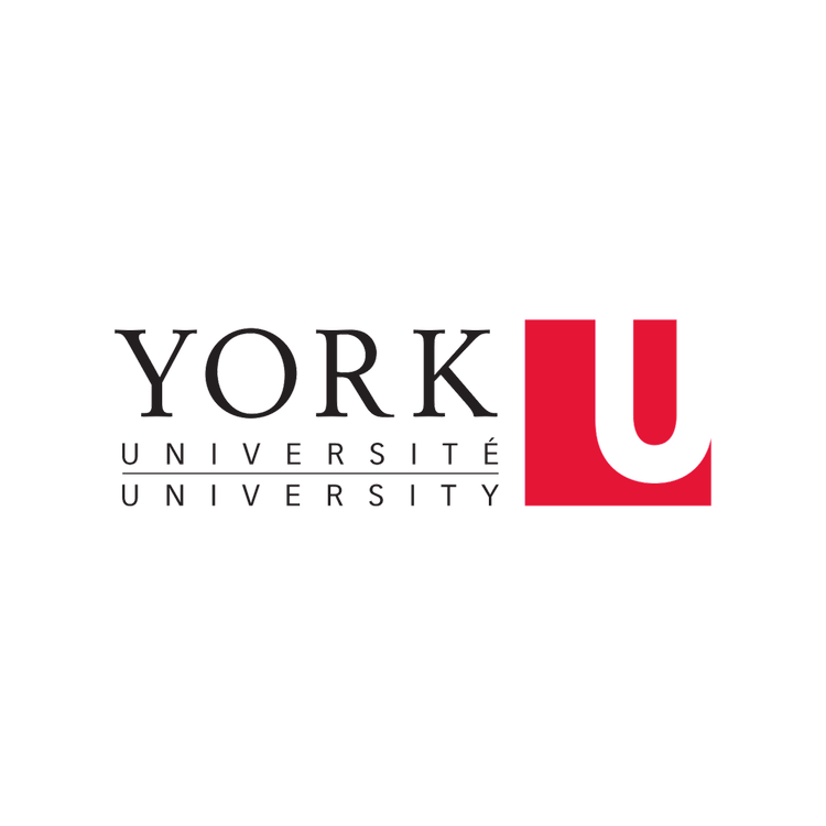 York University