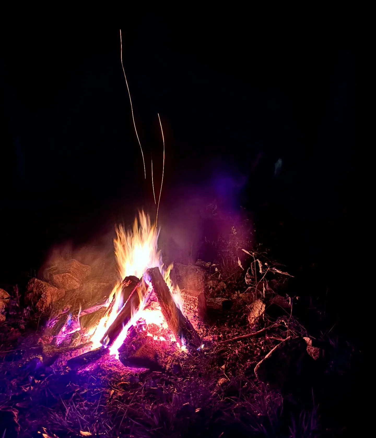 Do you like hiking?
Do you like nighttime?
Do you like s&rsquo;more&rsquo;s?
Do you like hearing new and exciting sounds coming out of the woods?

Personally I prefer hiking at night so you can&rsquo;t see my crotch sweat and I don&rsquo;t have to we